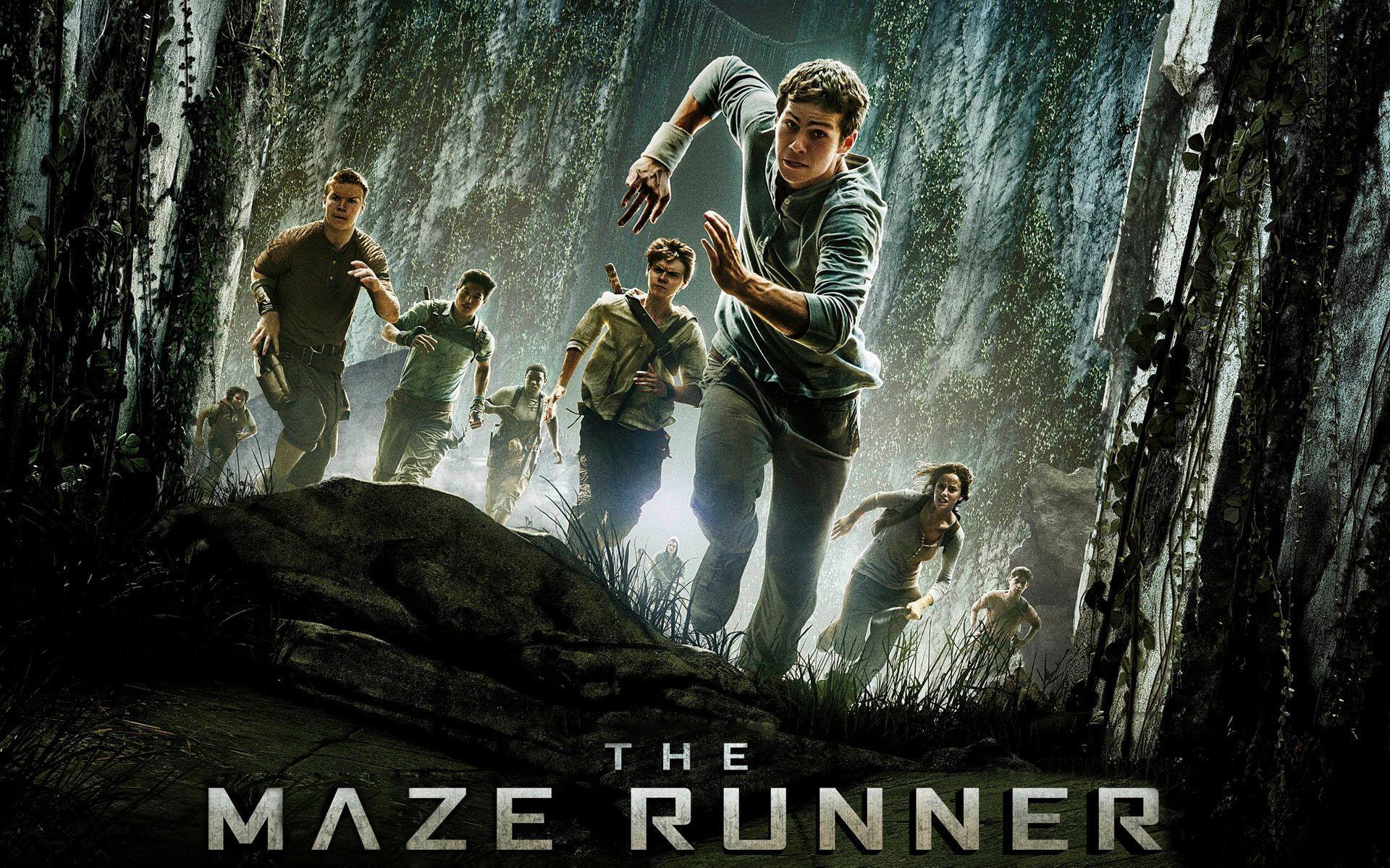 The Maze Runner Movie Exclusive HD Wallpaper