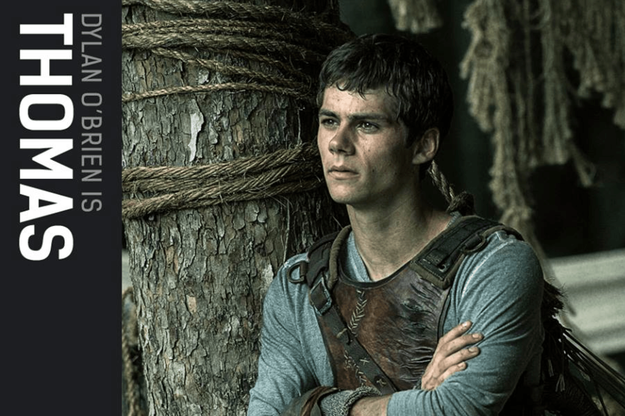 The Maze Runner participant of the game wallpaper and image