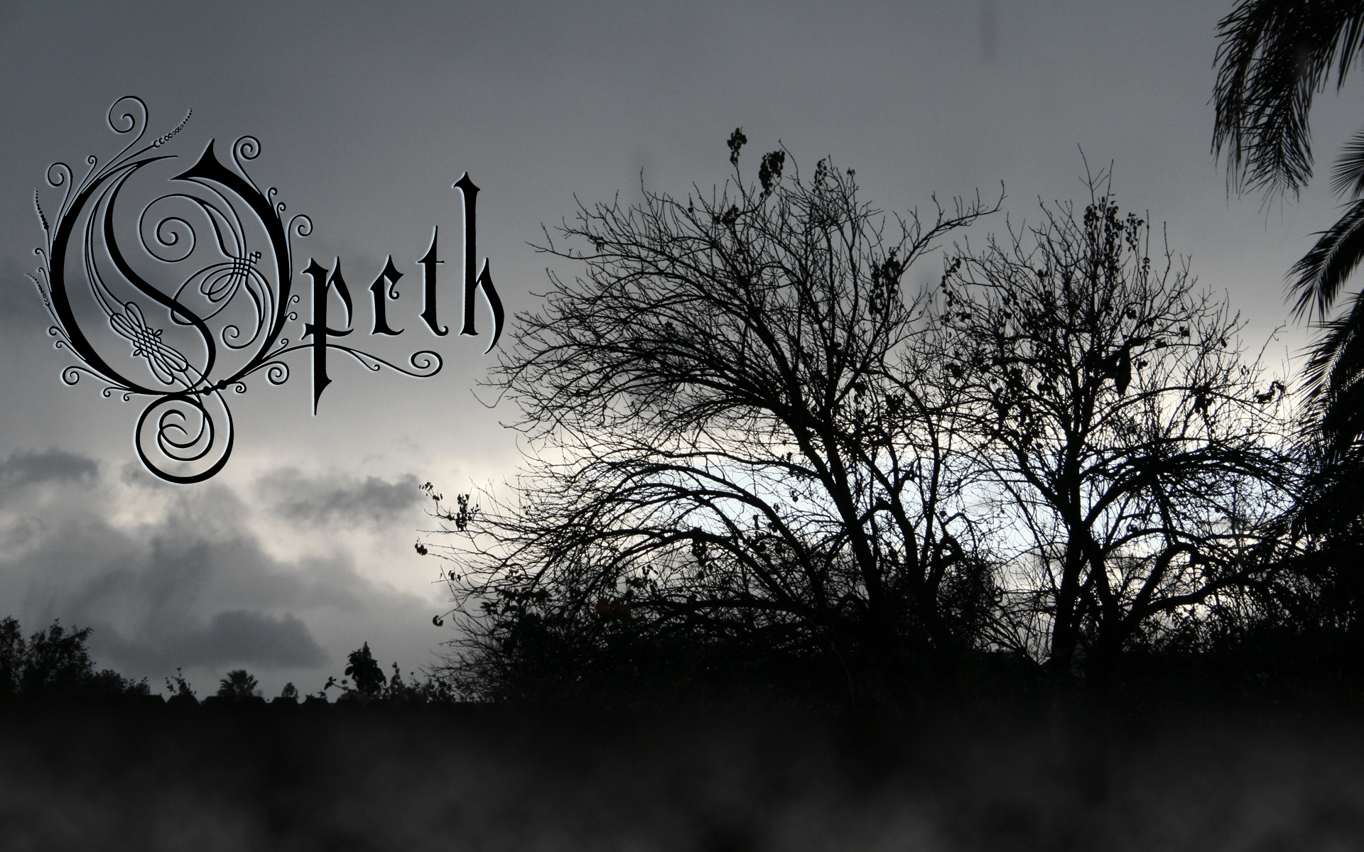 image about Opeth & Friends