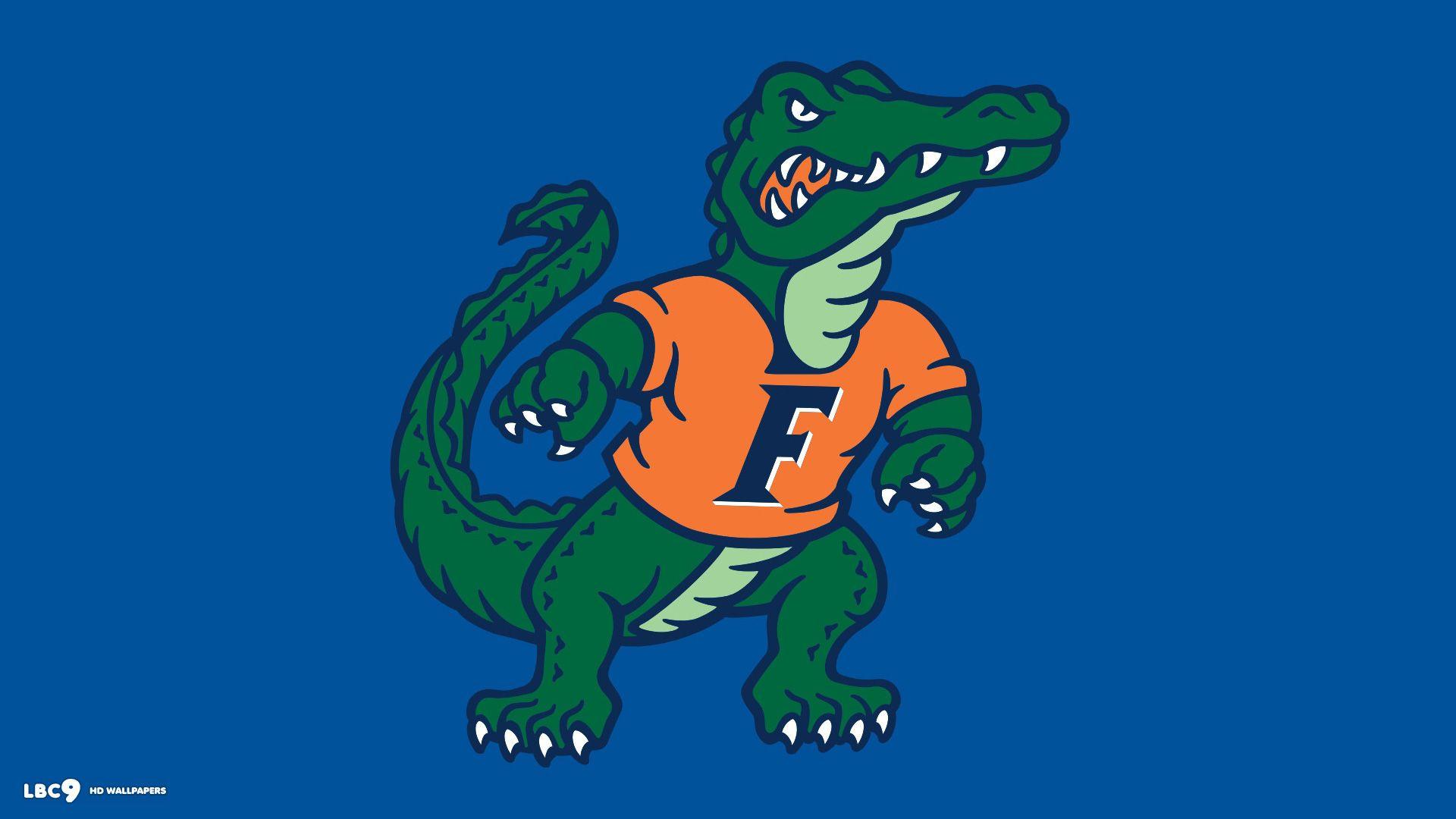 Florida Gators Football Wallpapers Wallpaper Cave