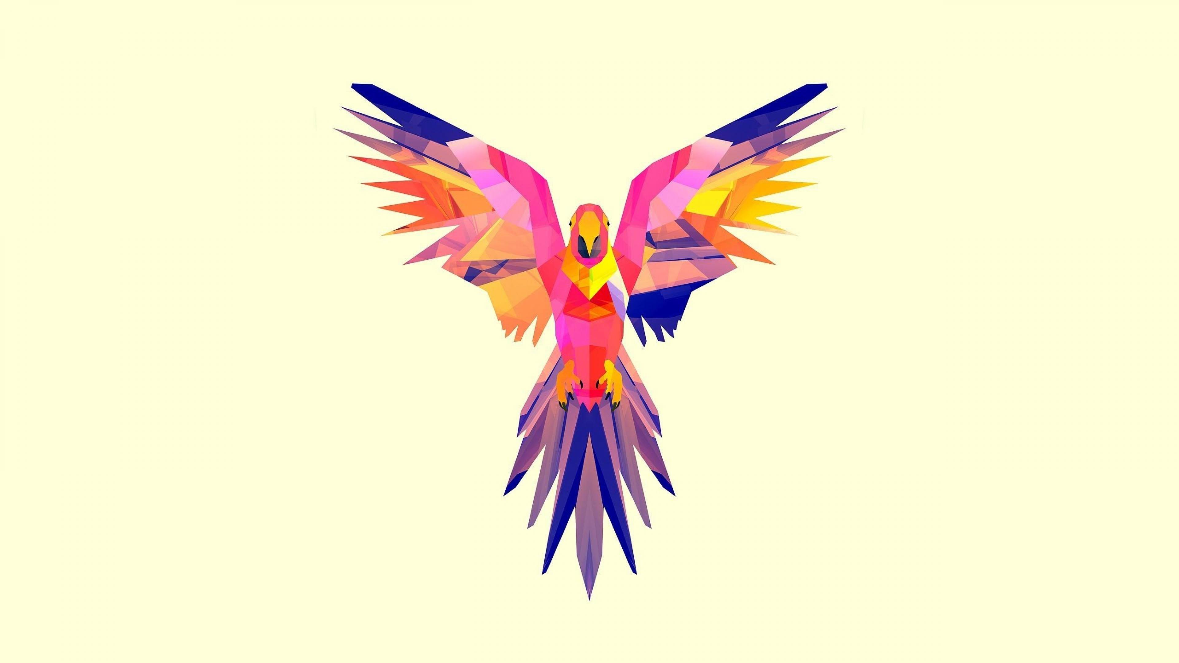 Parrot Bird Vector Polygon parrot HD Wallpaper, Desktop