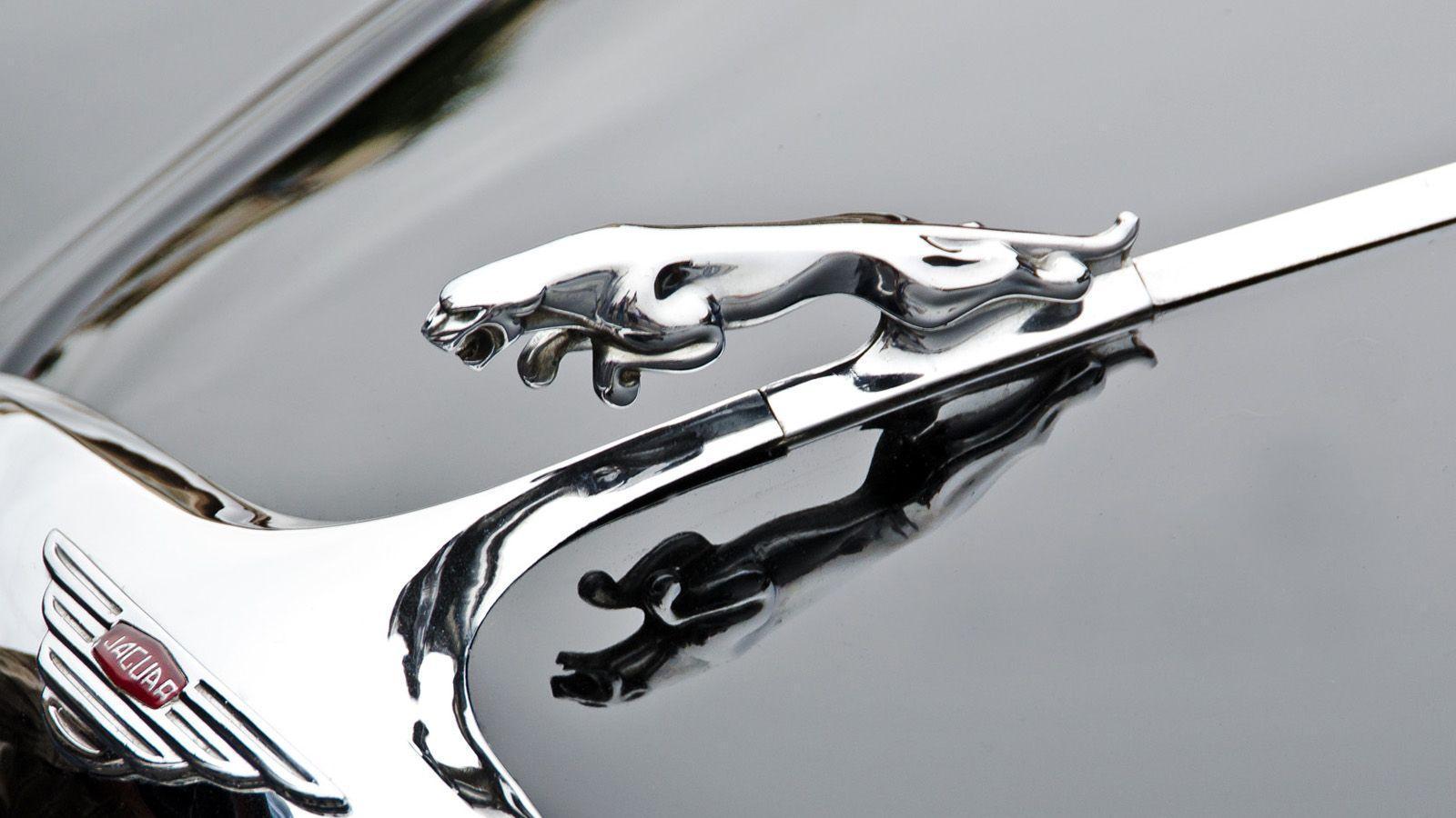 Jaguar Logo HD Wallpaper 1080p