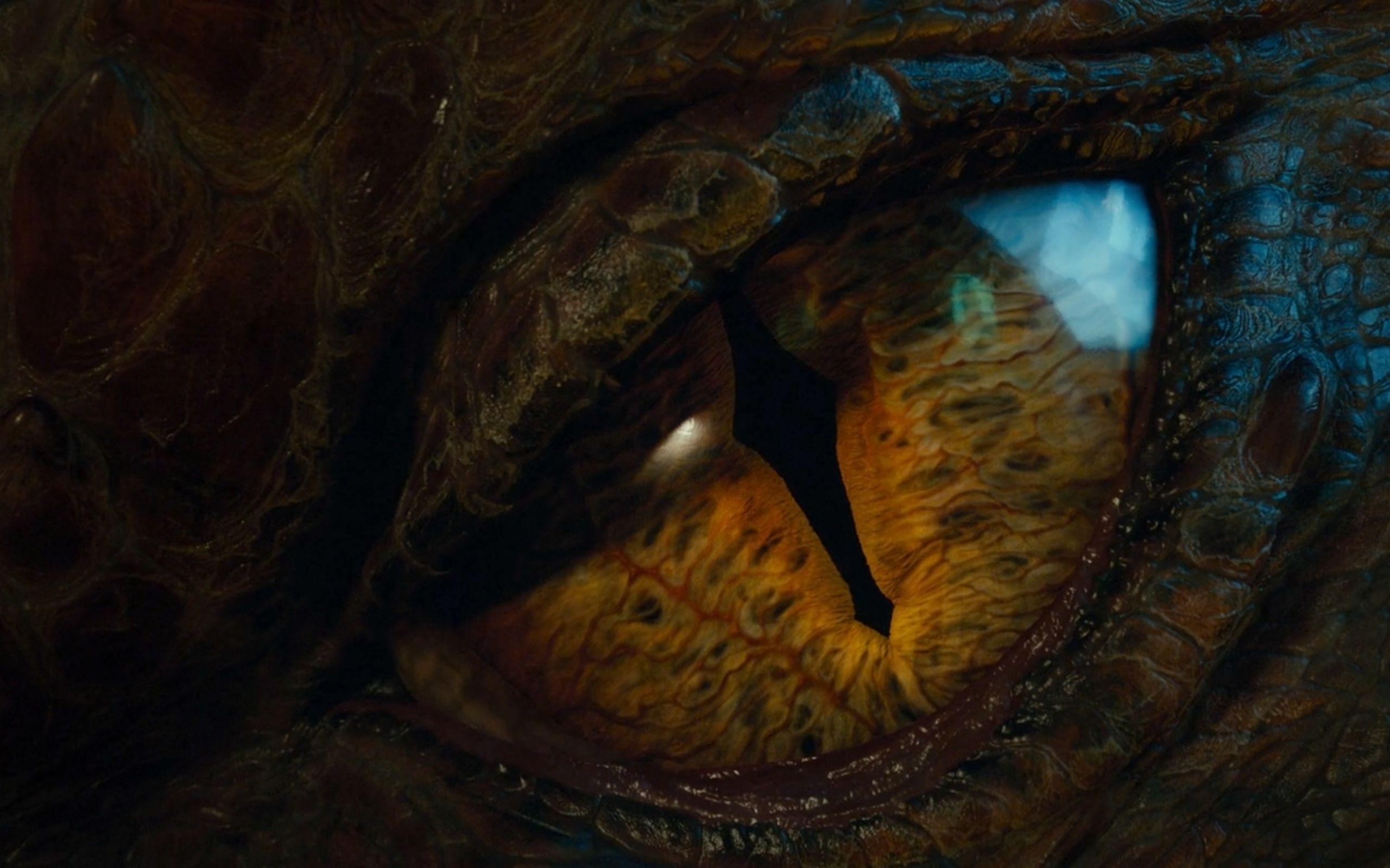 Download Wallpaper, Download 2560x1600 eyes dragons the hobbit
