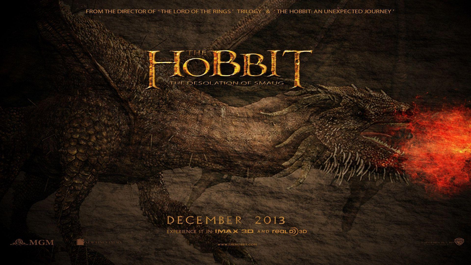 Smaug & Bilbo Wallpaper Hobbit: The Desolation of Smaug