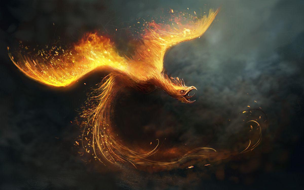  on ave fenix wallpapers