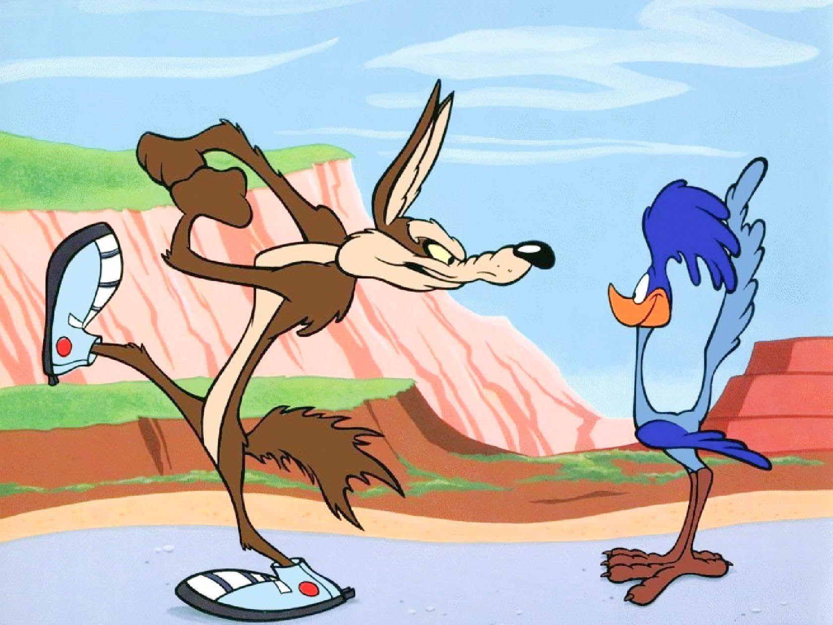 Road Runner Wallpapers Wallpaper Cave