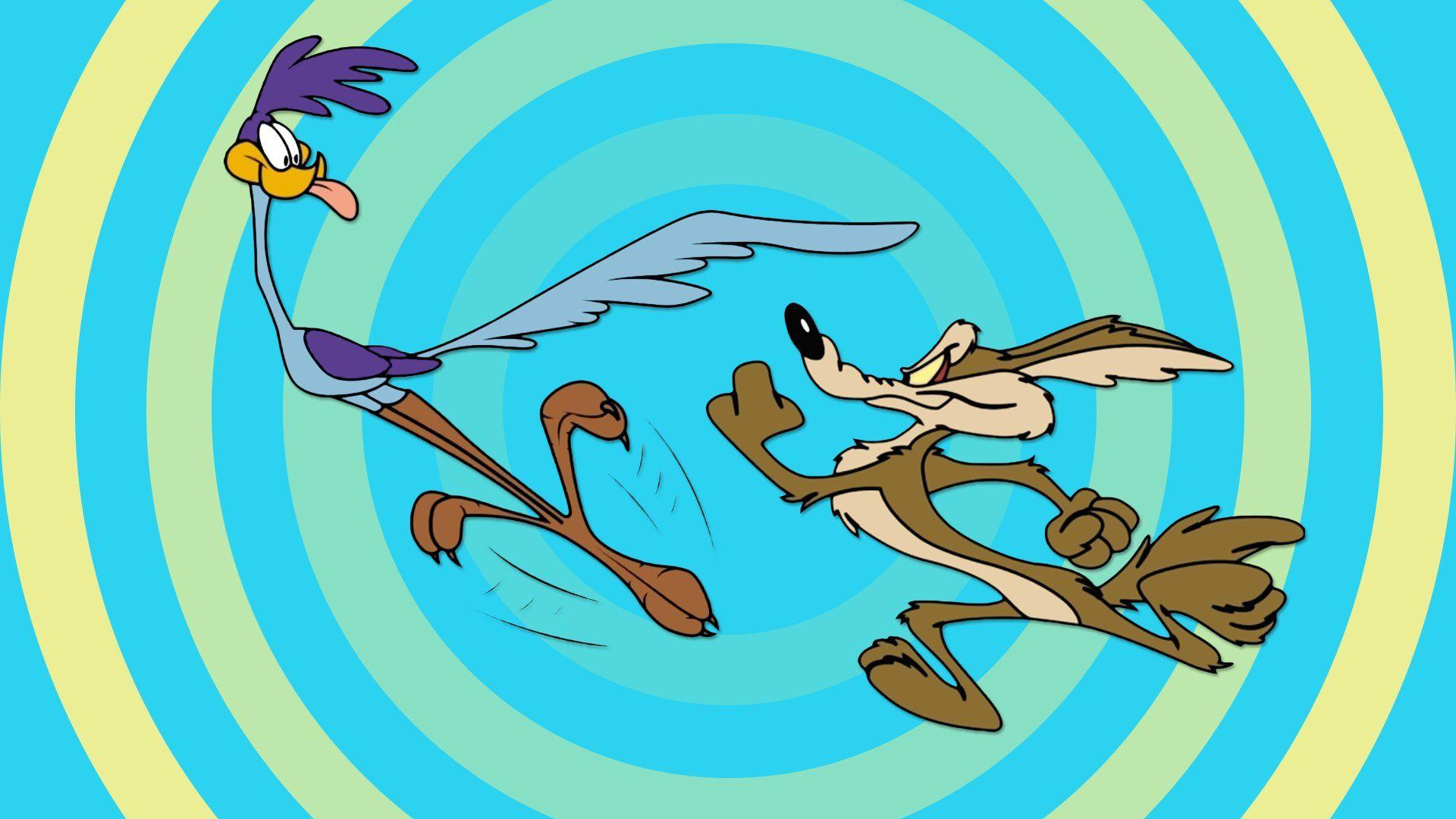 Road Runner And Wile E. Coyote HD Wallpaper. Background