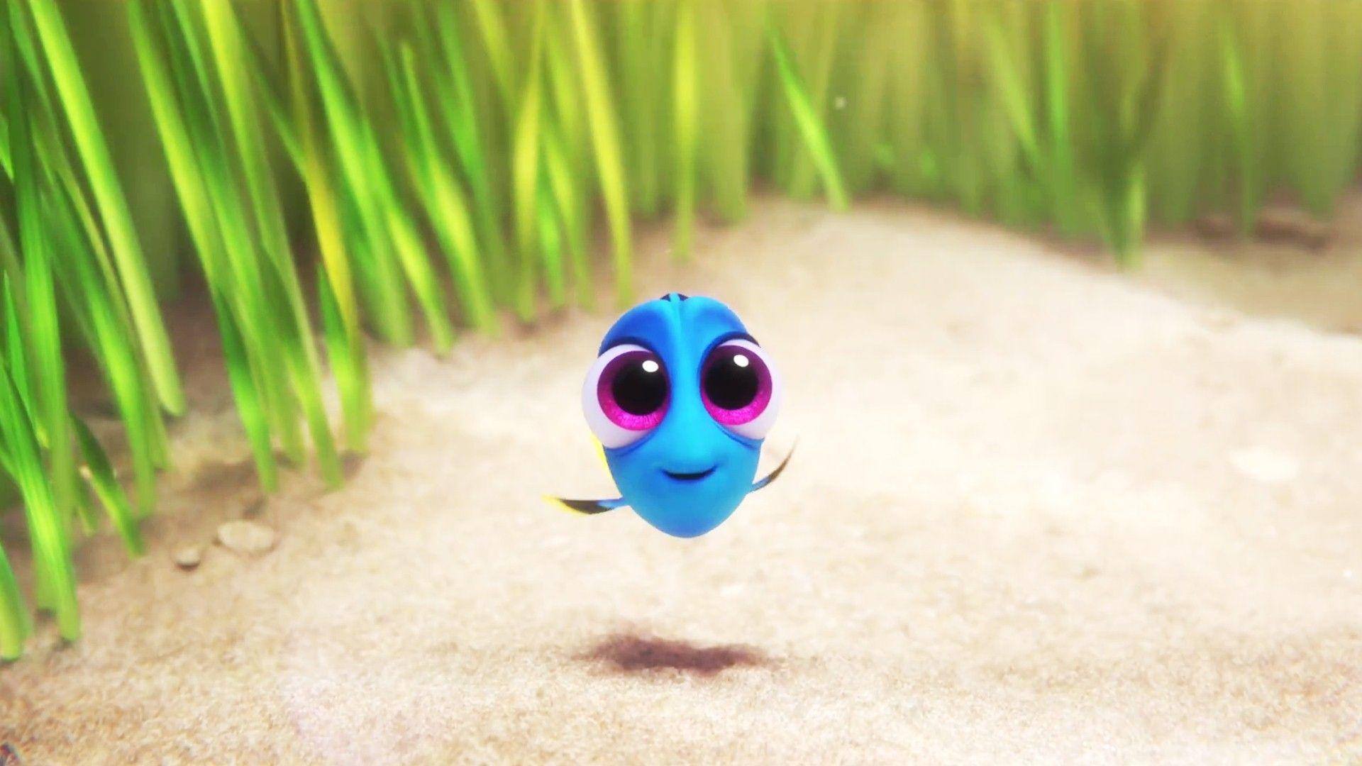 Finding Dory Wallpaper HD Background, Image, Pics, Photo Free
