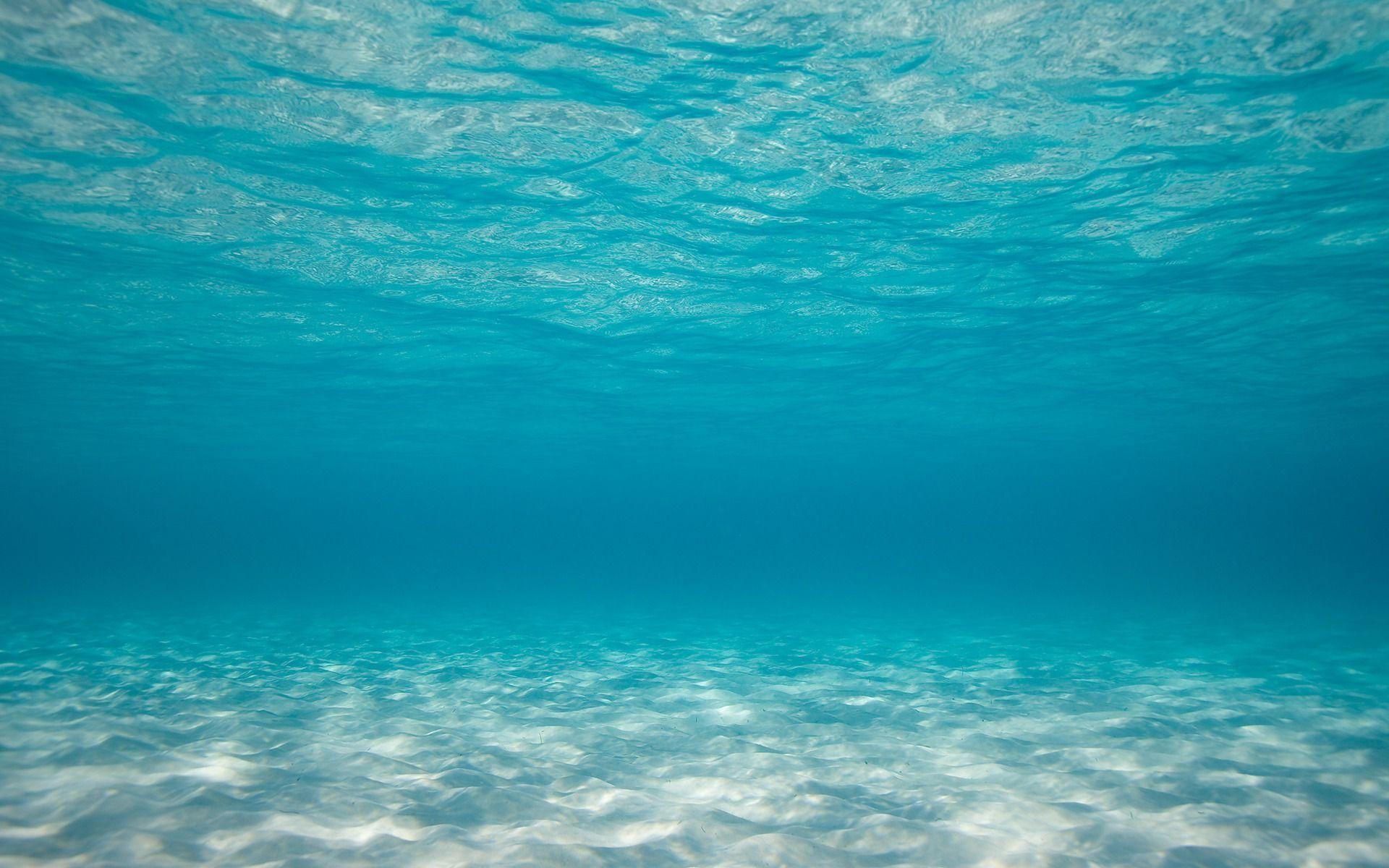 Wallpaper Under Water
