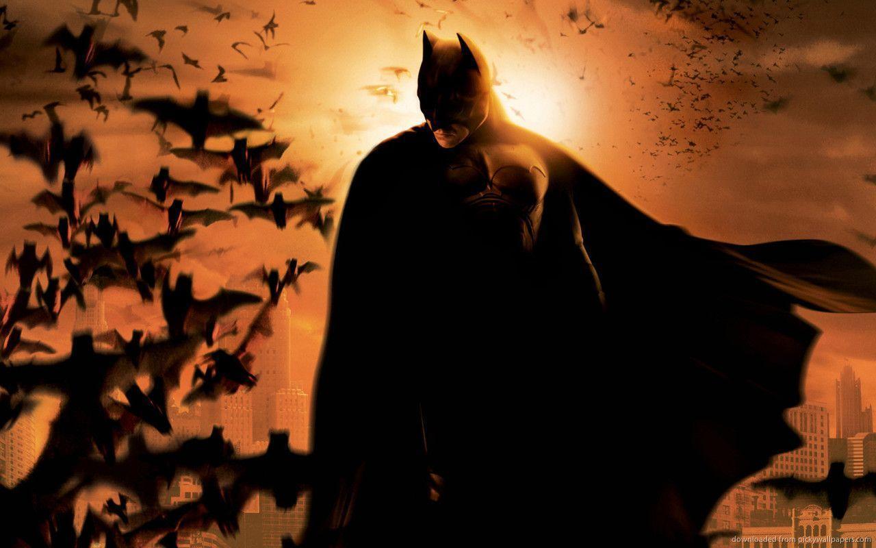 Bats Wallpaper