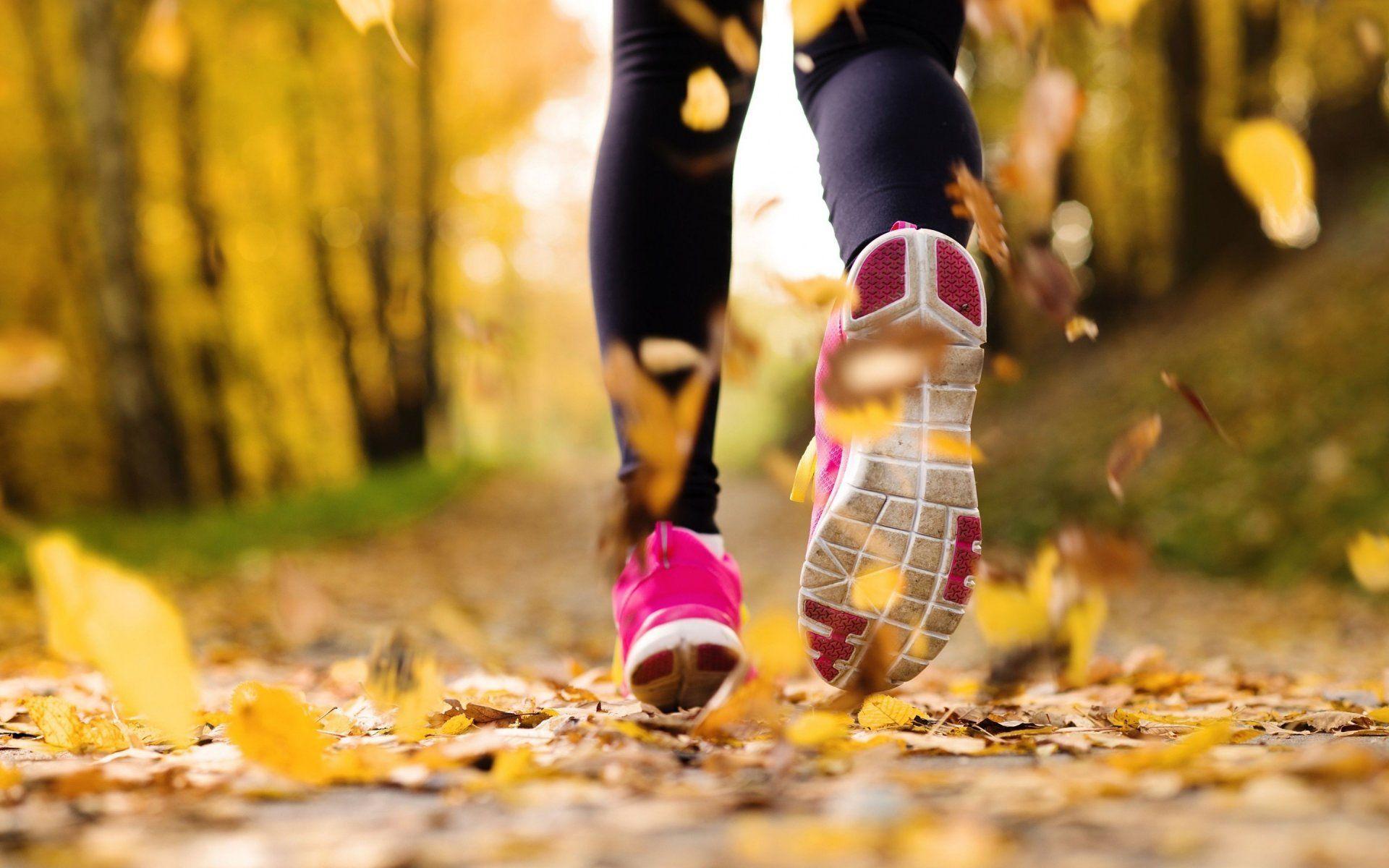 exercise jogging running shoes autumn HD wallpaper