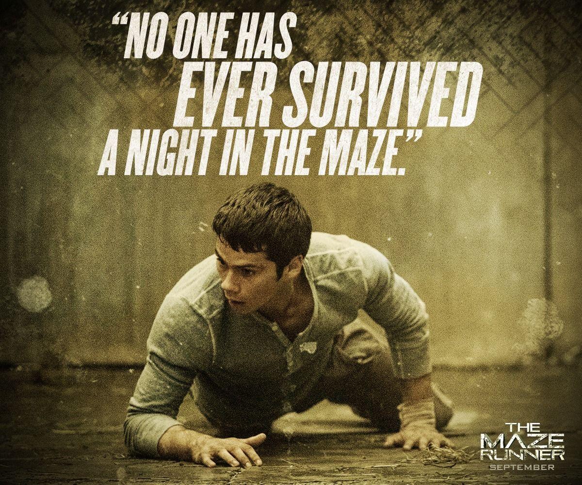 The Maze Runner Film image Movie Quotes HD wallpaper
