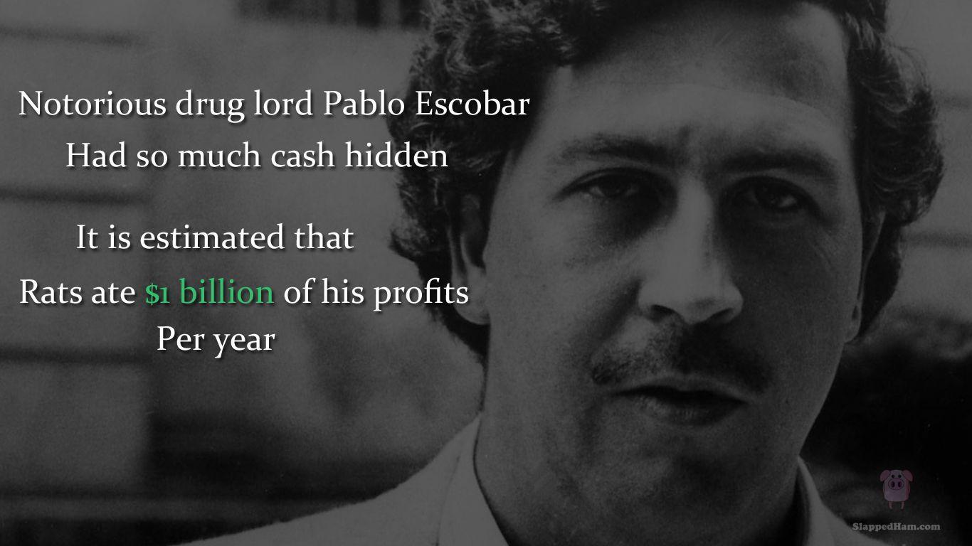 Colombian Farmer Finds Pablo Escobar's $000 Buried On His Farm