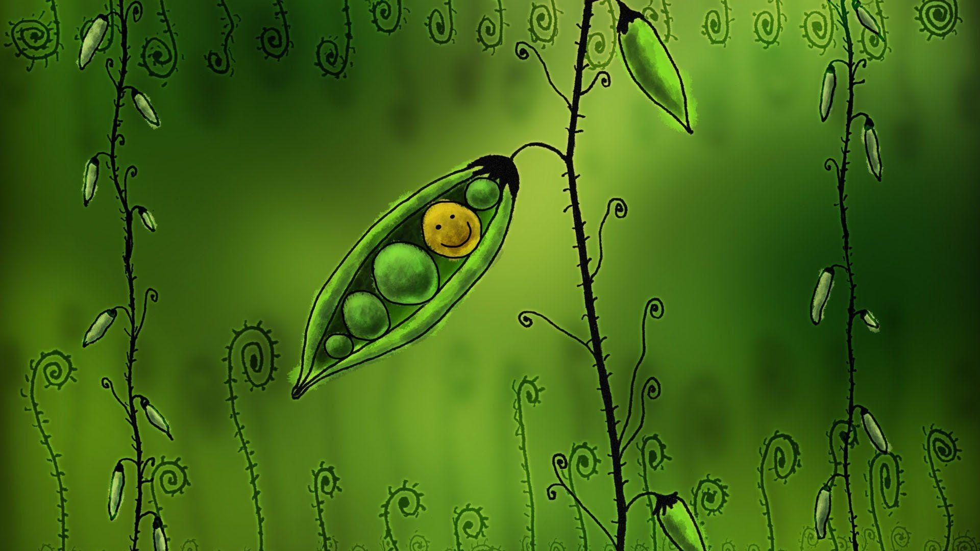 Green Environment Wallpaper