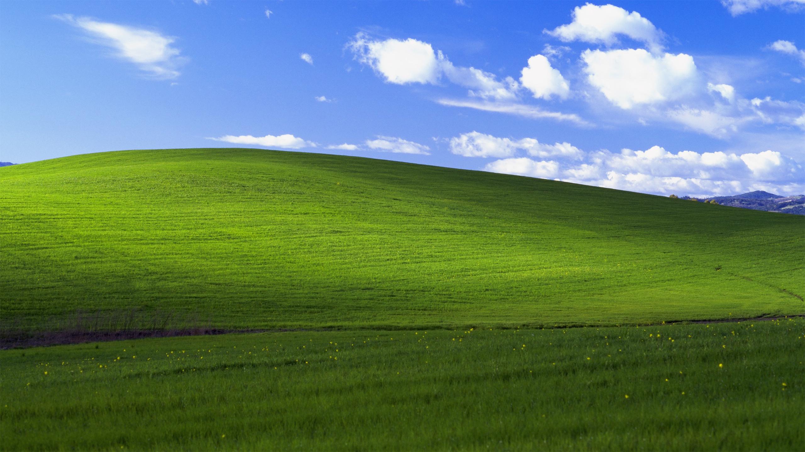 Windows 10 1440p Wallpaper