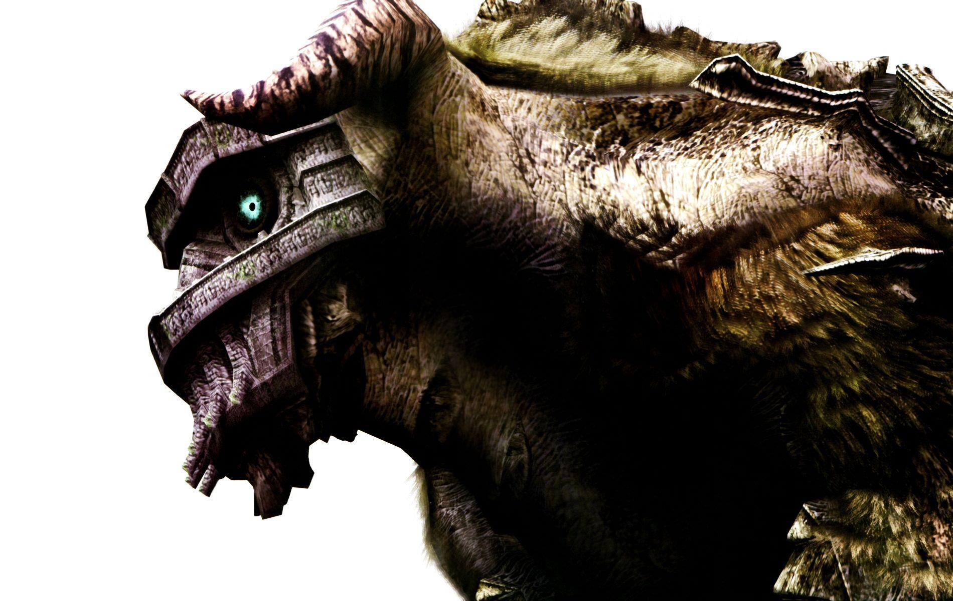 Video Games Shadow Of The Colossus HD