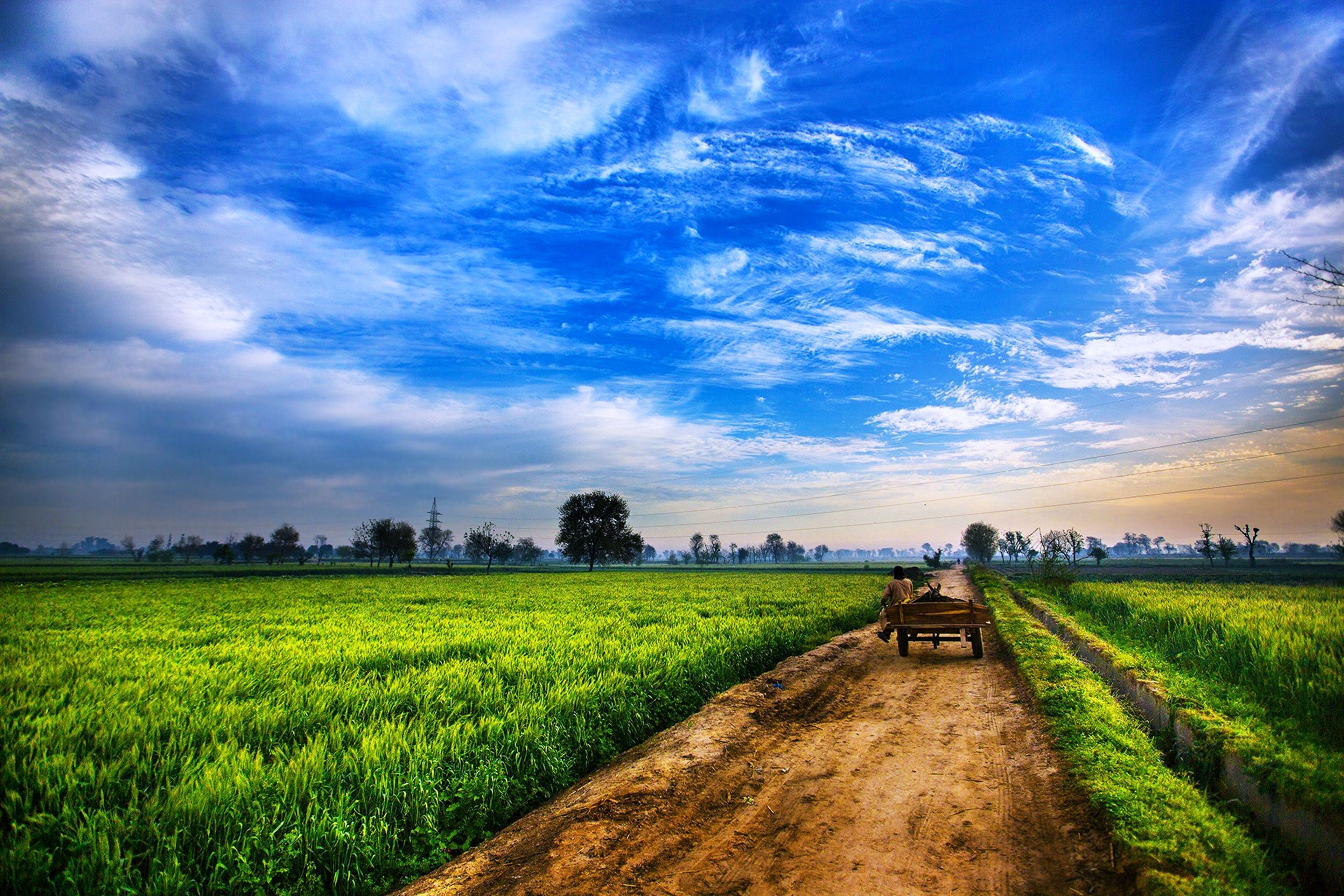Agriculture Wallpaper