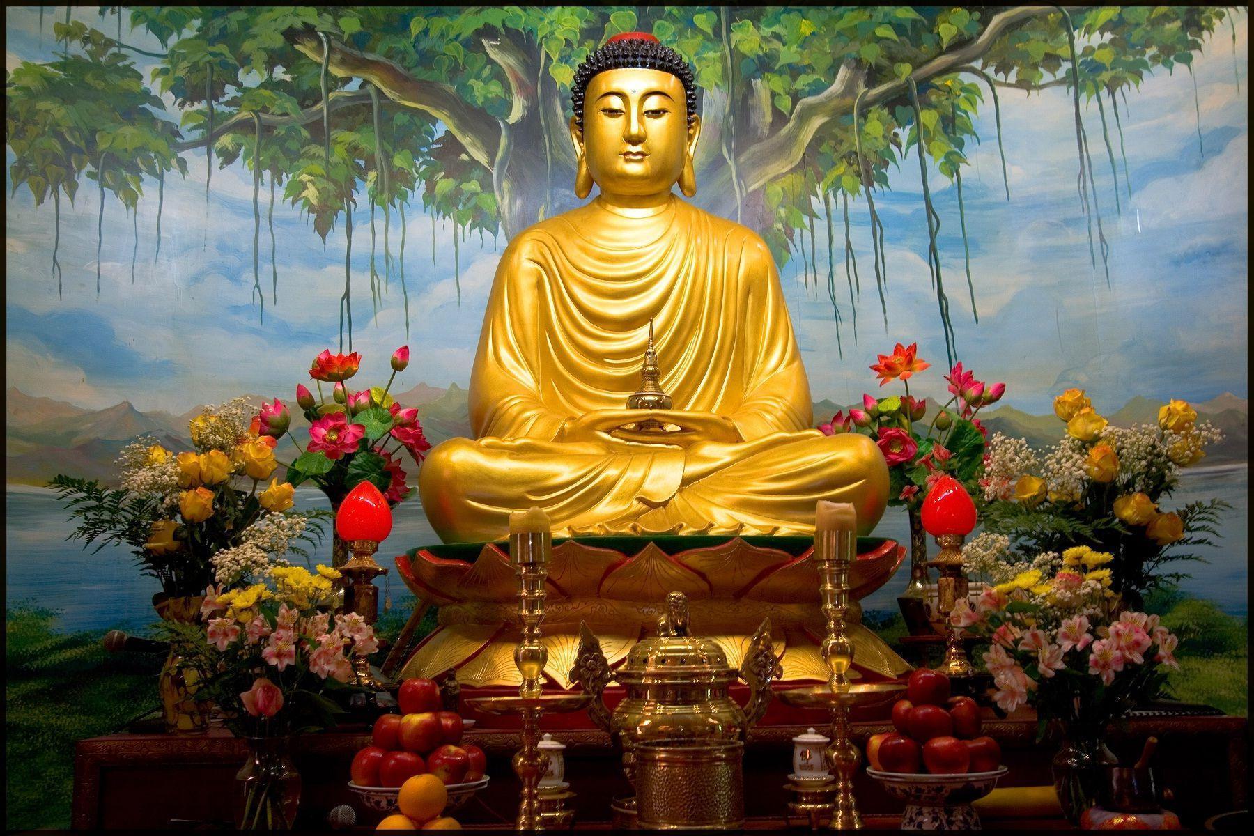 Lord Gautama Buddha. HD Wallpaper Rocks