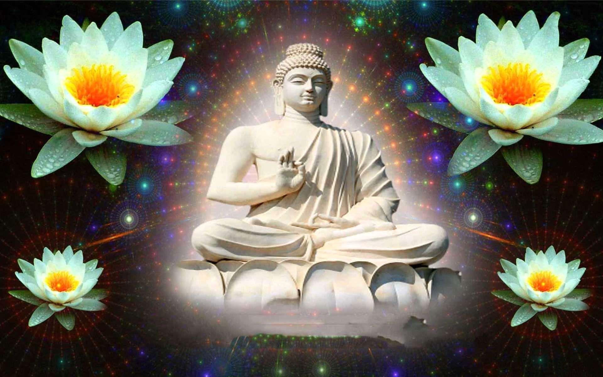 Gautam Buddha Wallpaper, photo & image free download
