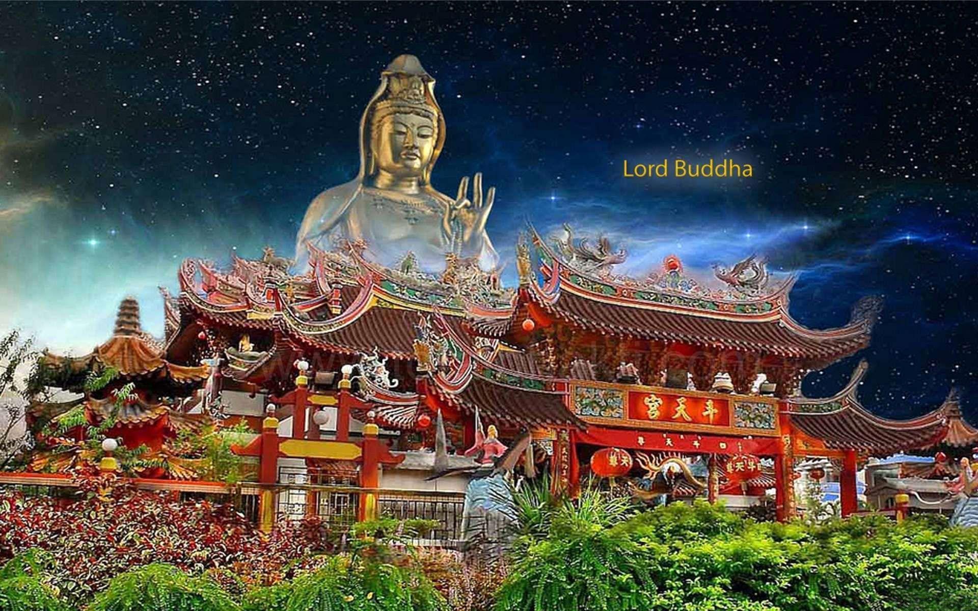 Lord Buddha Wallpaper, photo & image free download
