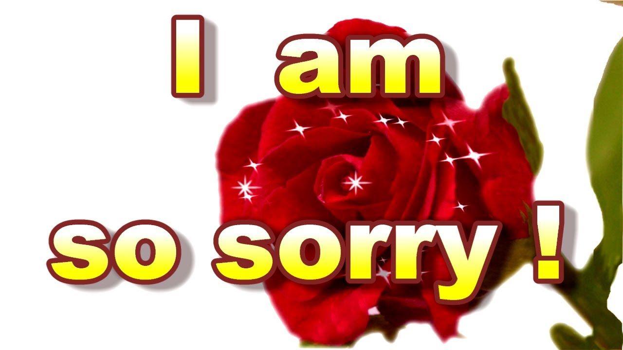 Card For Sorry, Sorry Card, I am Sorry Greeting Card