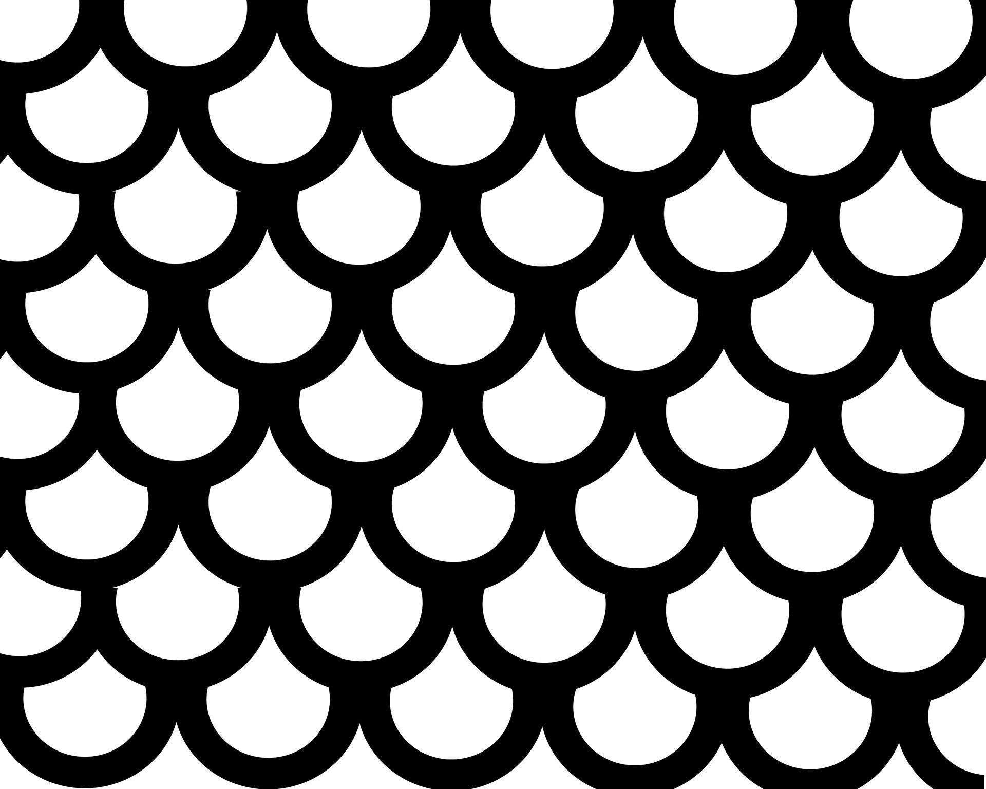 Fish Scales Pattern Free Domain Picture