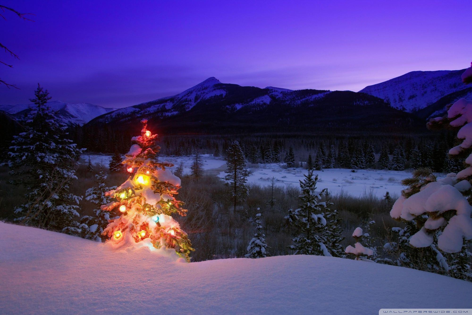 Christmas Tree With Lights Outdoors In The Mountains HD desktop