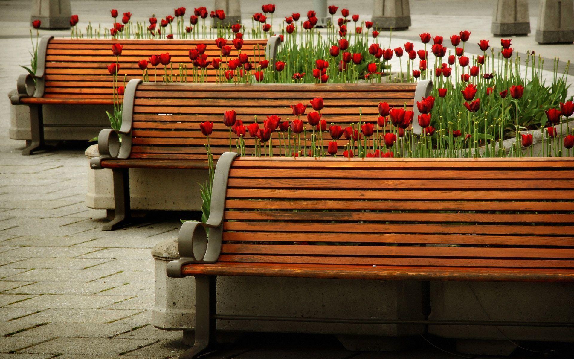 Bench Wallpapers - Wallpaper Cave