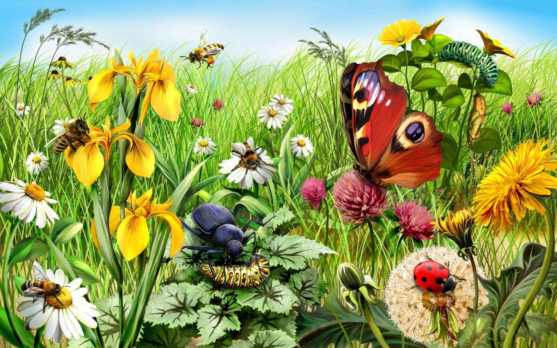 Summer Insects wallpaper. Summer Insects