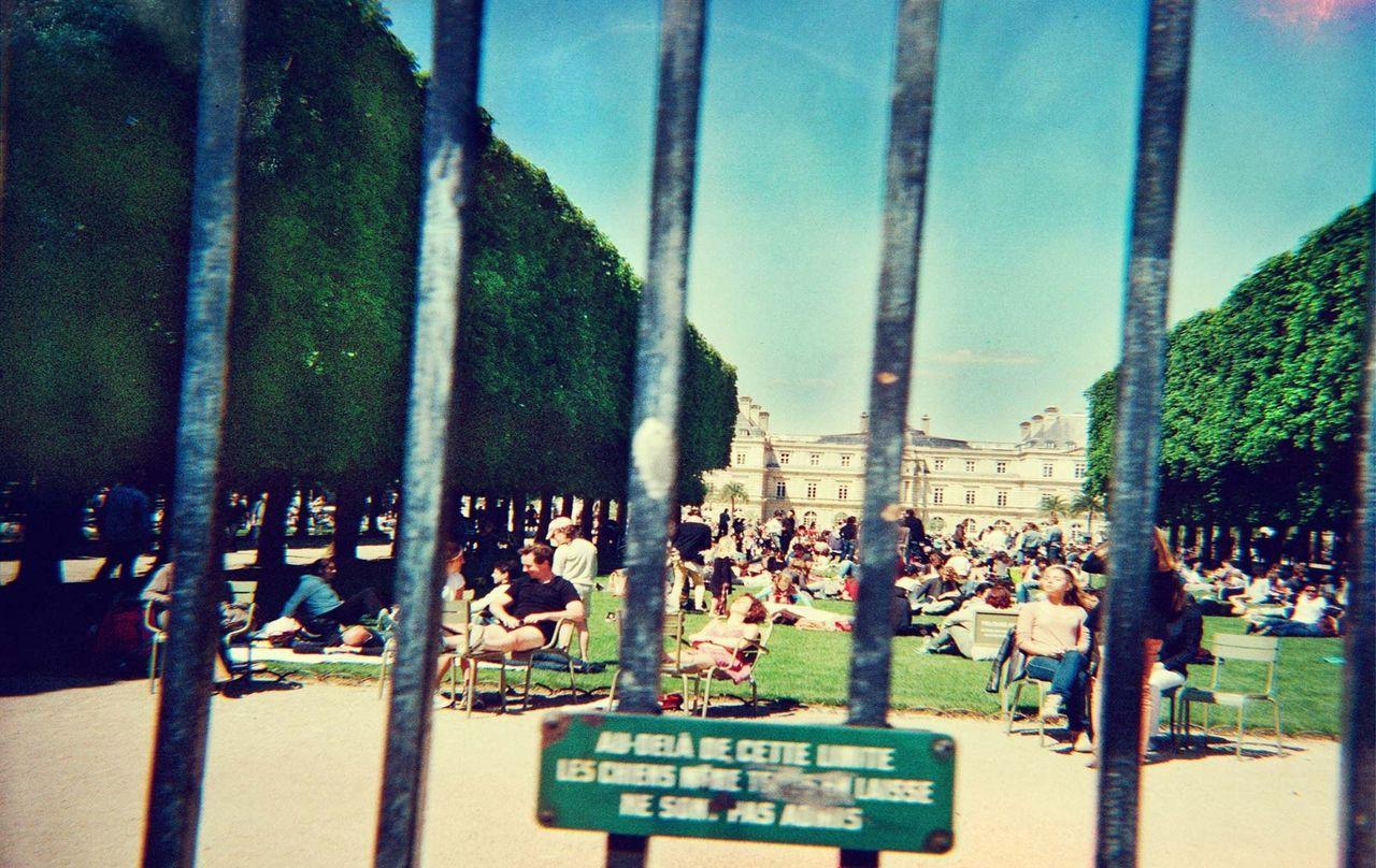 Album Wallpaper Impala, Lonerism