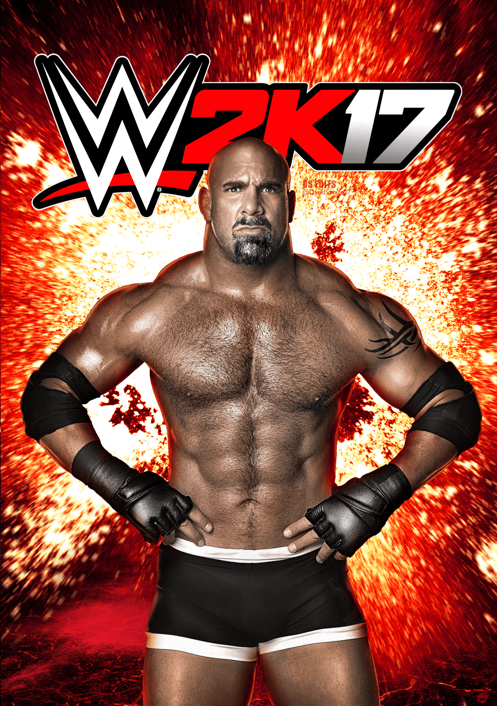 WWE 2K17 HD Wallpaper