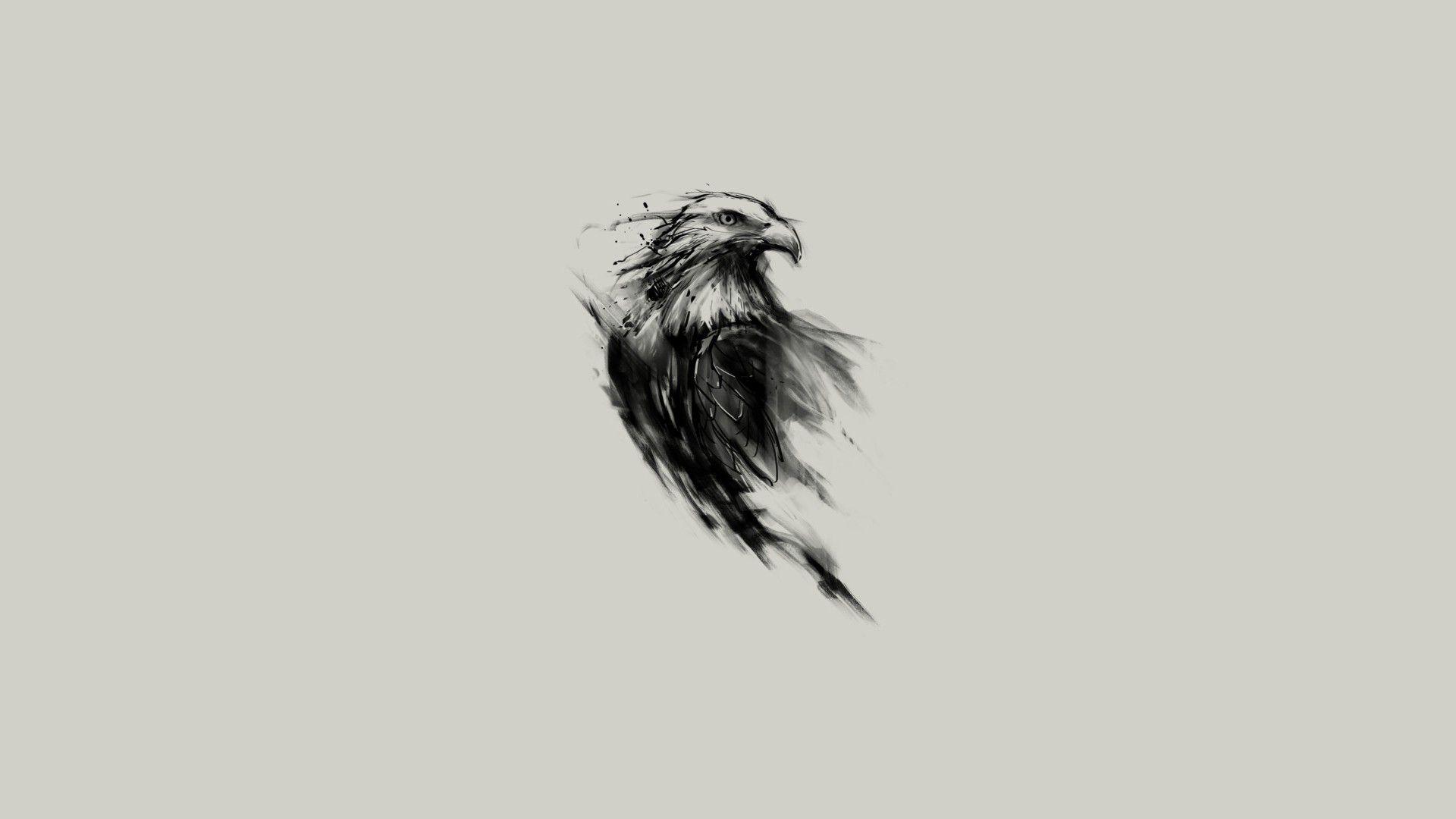 eagle, Bald Eagle, Birds, Simple Background, Sketches, Monochrome