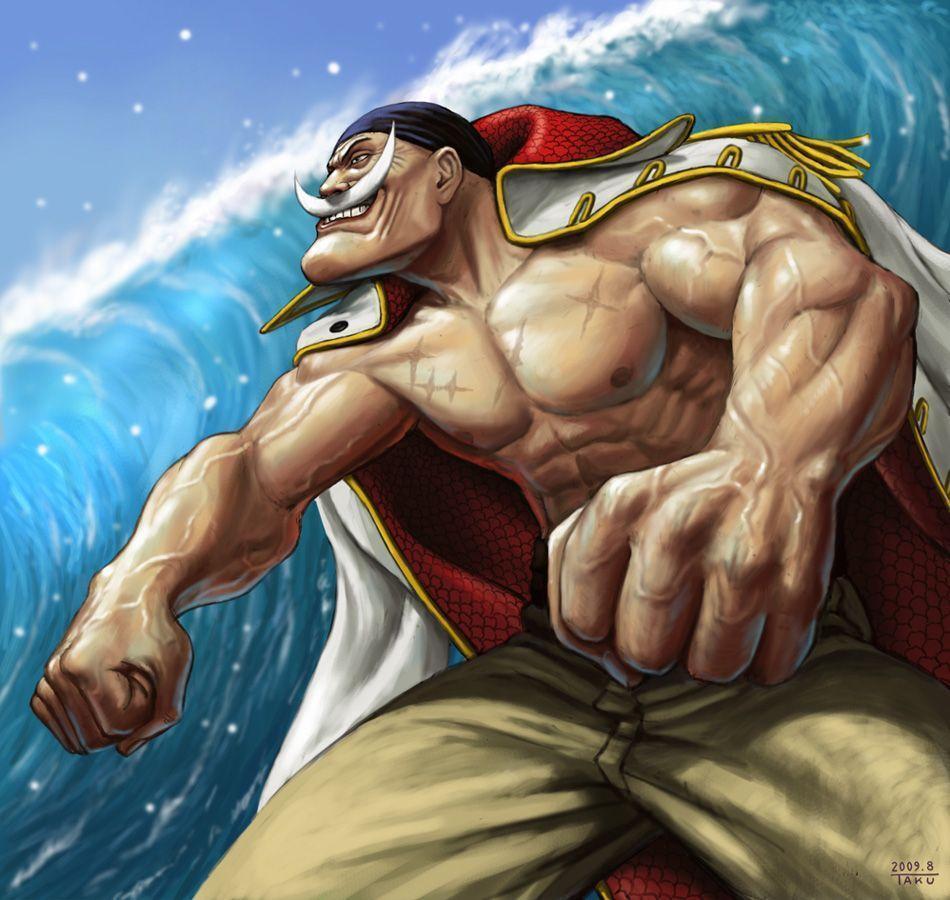 Analysis the strength of pirates in One PieceMy One Piece Cosplay