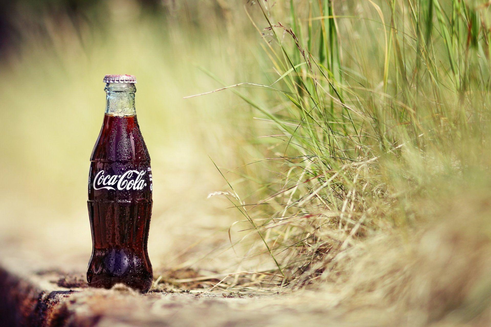 Sand Grass Plants A Bottle Cola Drops Coca Cola Coca Cola Drink