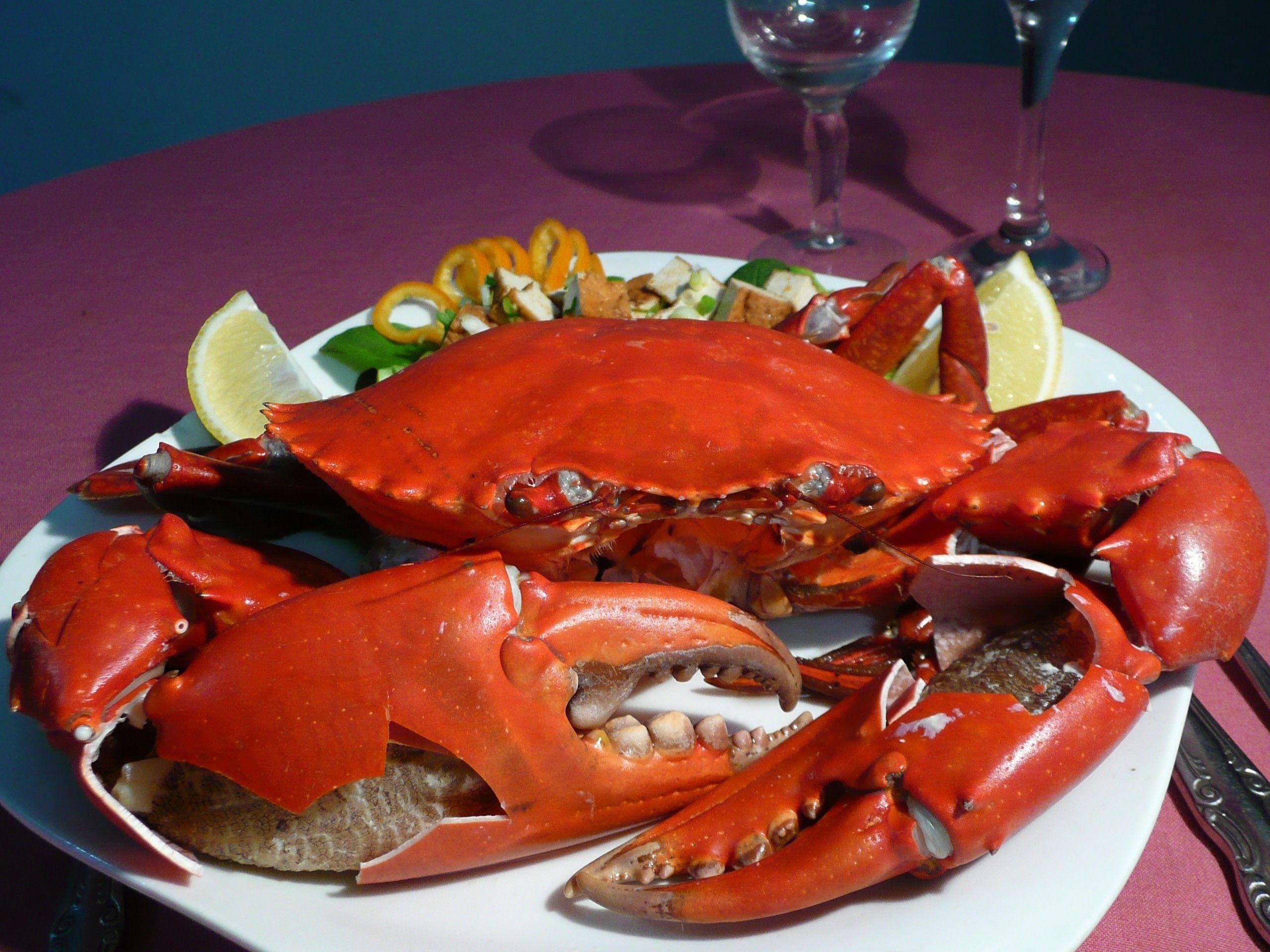 best image about Seafood. Linguine, Lobsters