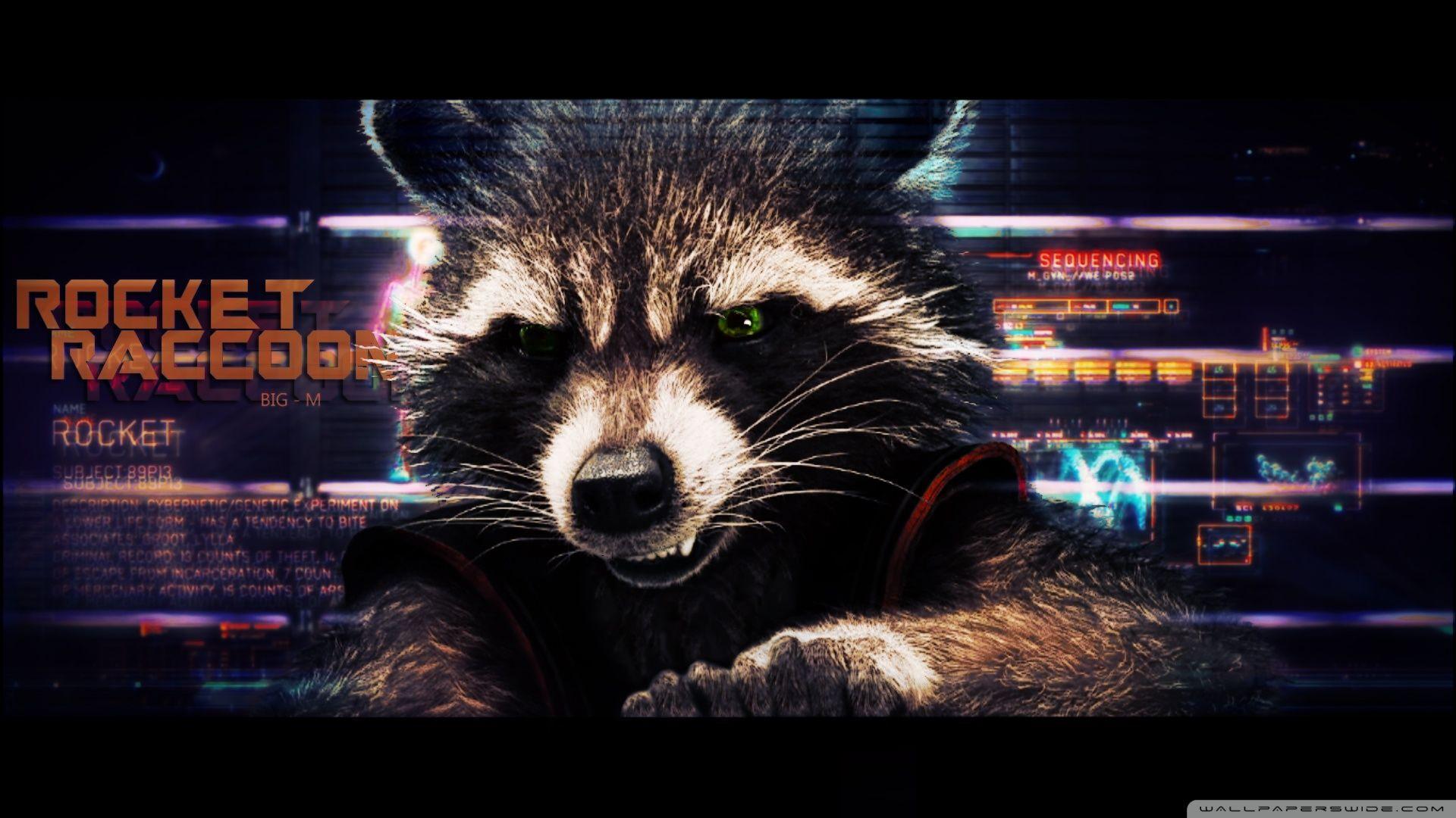 Rocket Raccoon of the Galaxy HD desktop wallpaper
