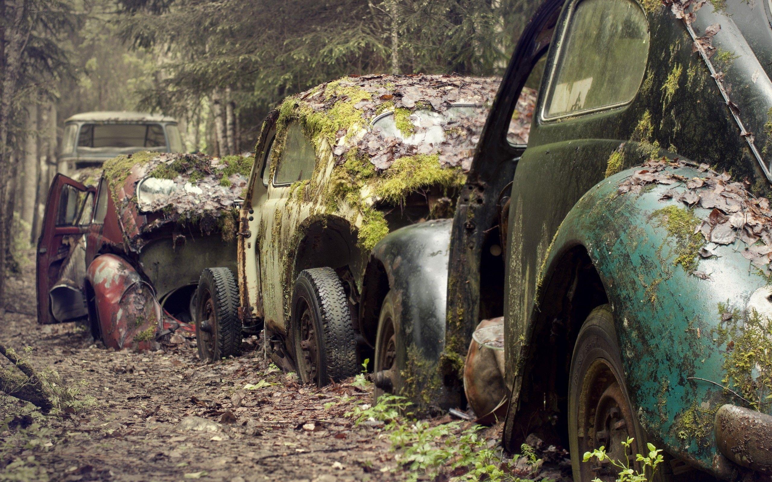 old Car, Abandoned, Moss, Rust, Urban Exploration Wallpaper HD