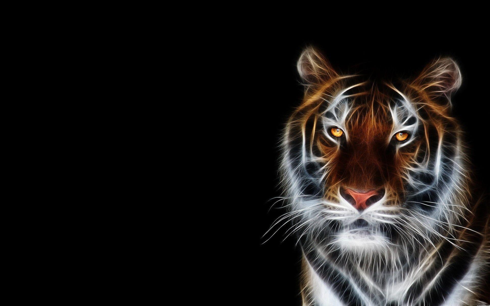 Black Tiger HD Wallpaper