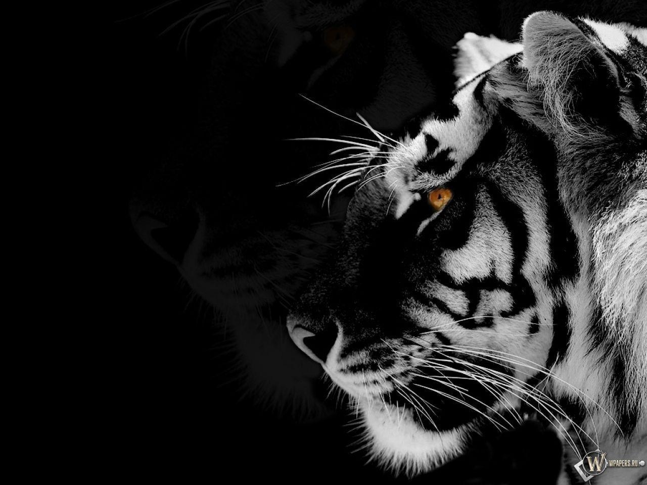 best image about Black & White HD. Black
