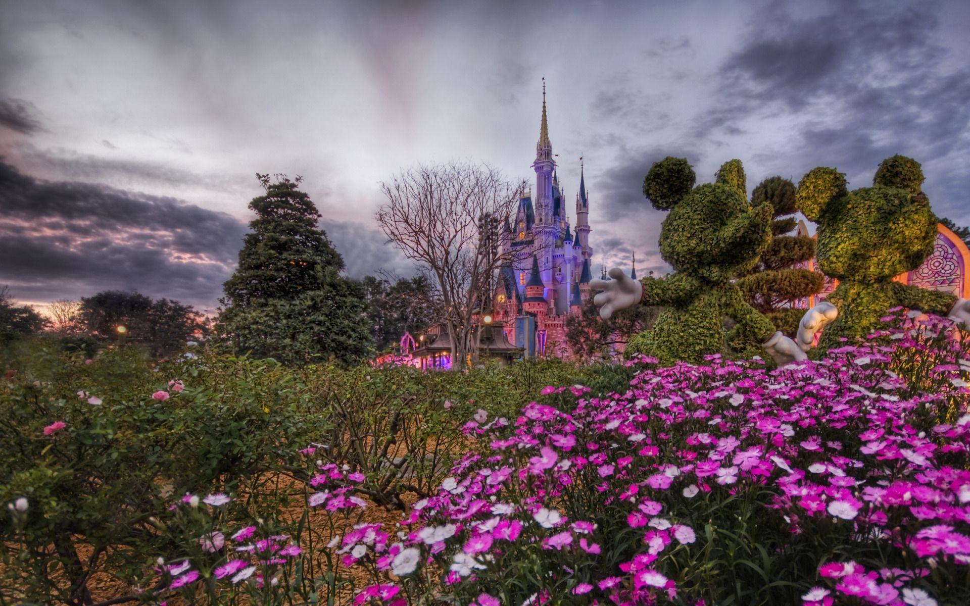 Disney World Flower Desktop Wallpaper. Places to Visit