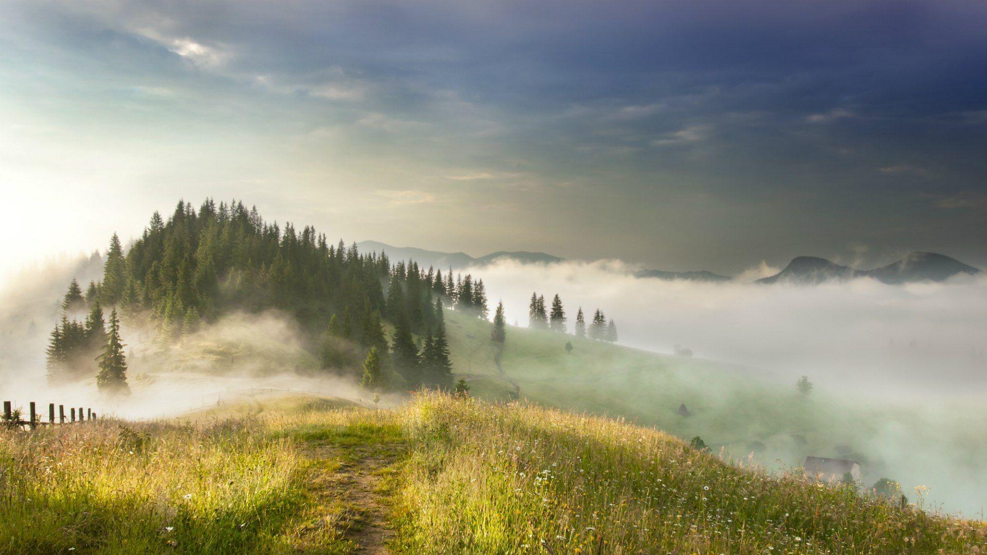 Fog in the Carpathian Mountains, Ukraine wallpaper and image