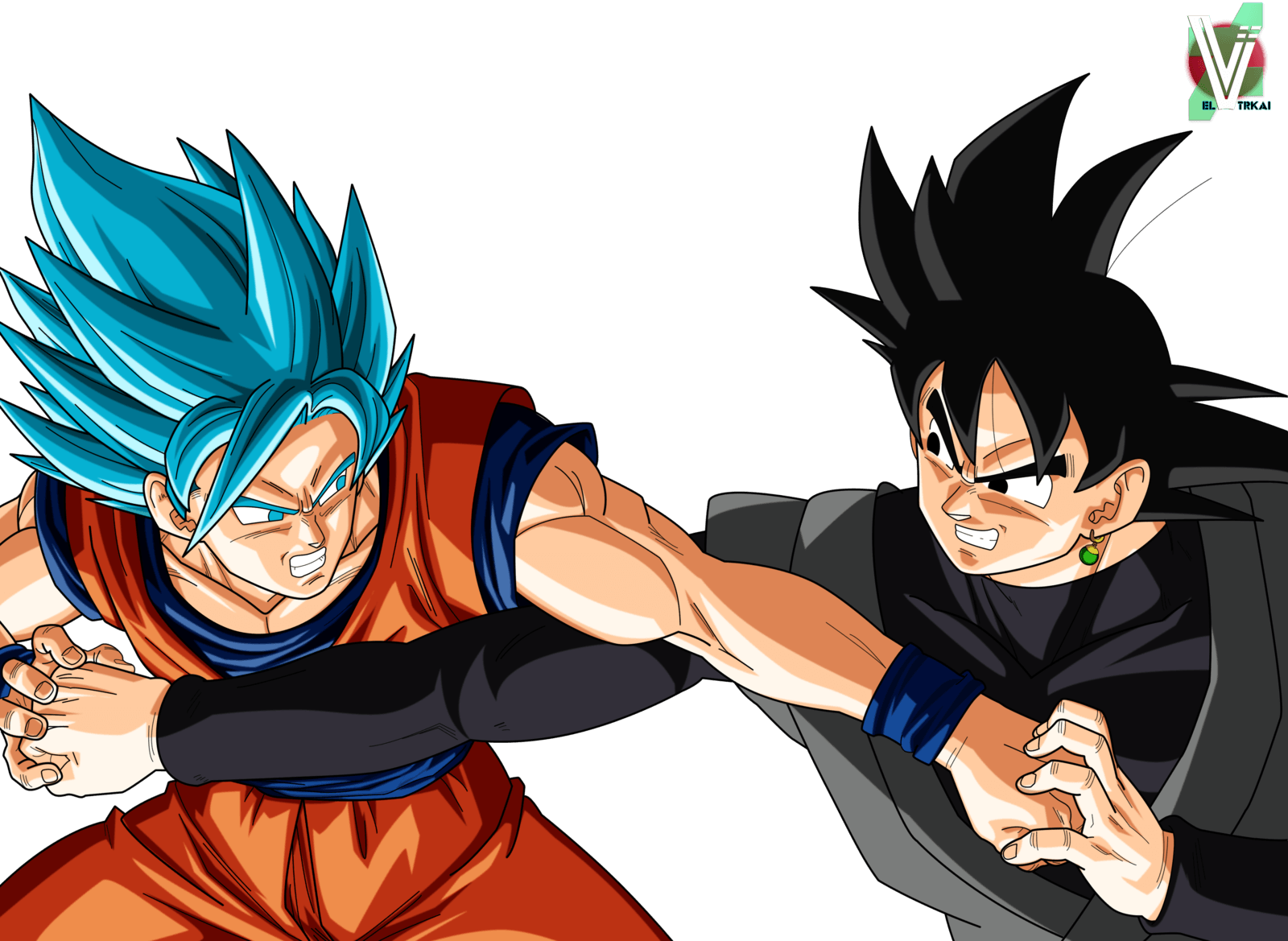 Goku VS Black