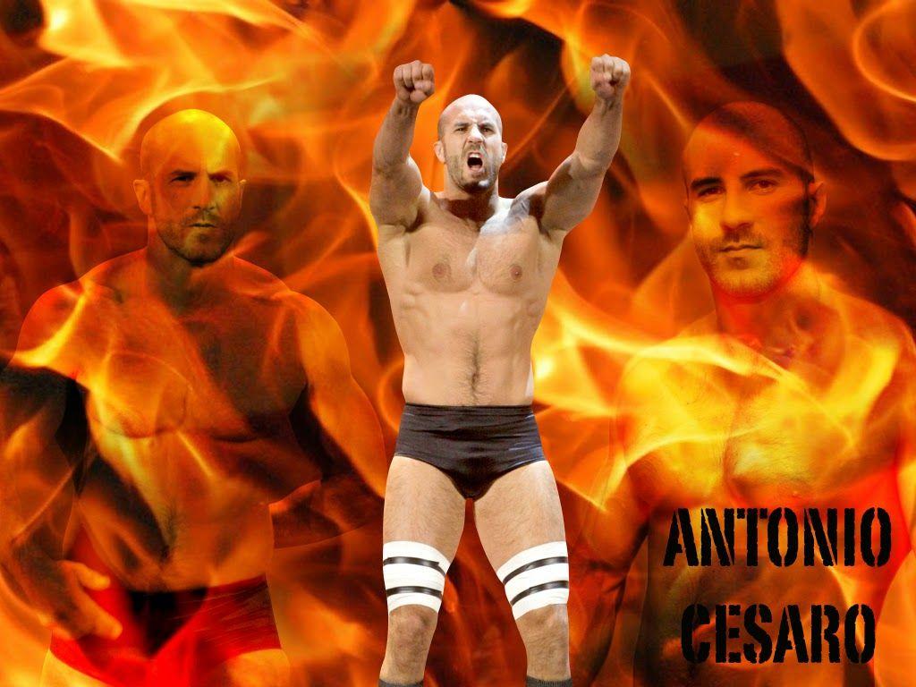 Antonio Cesaro HD Wallpaper Free Download. WWE HD WALLPAPER FREE