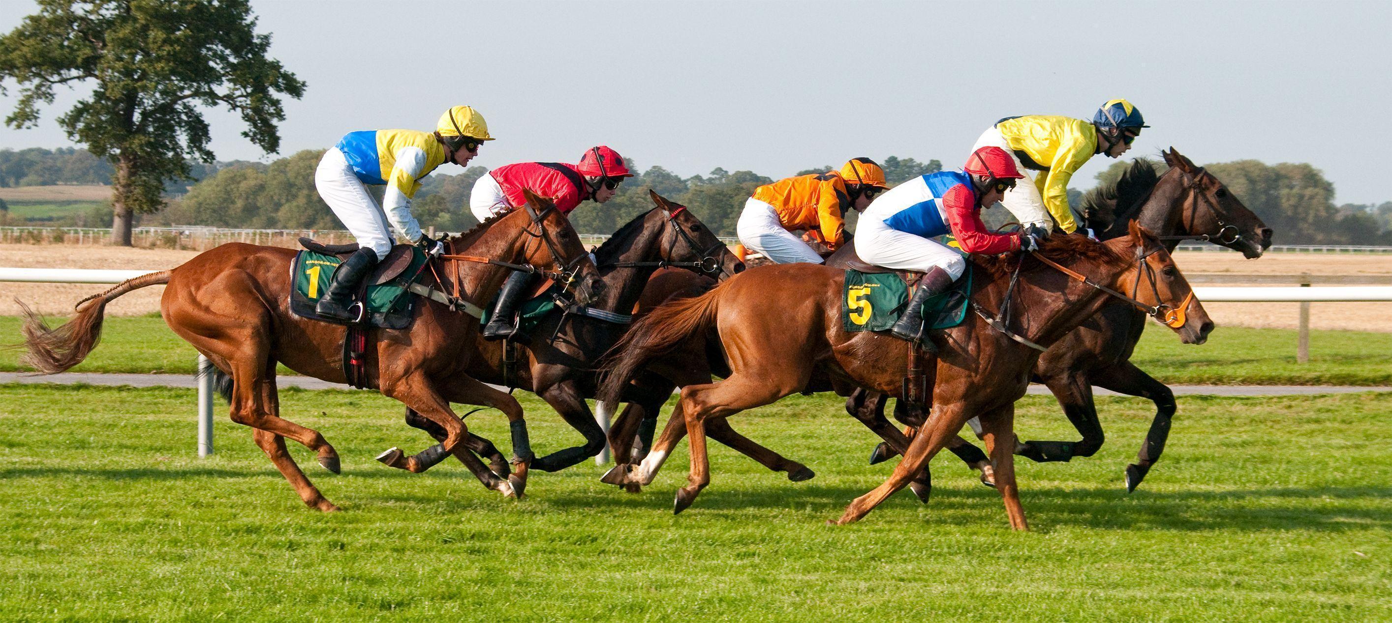 High Quality Horse Racing Wallpaper. Full HD Picture
