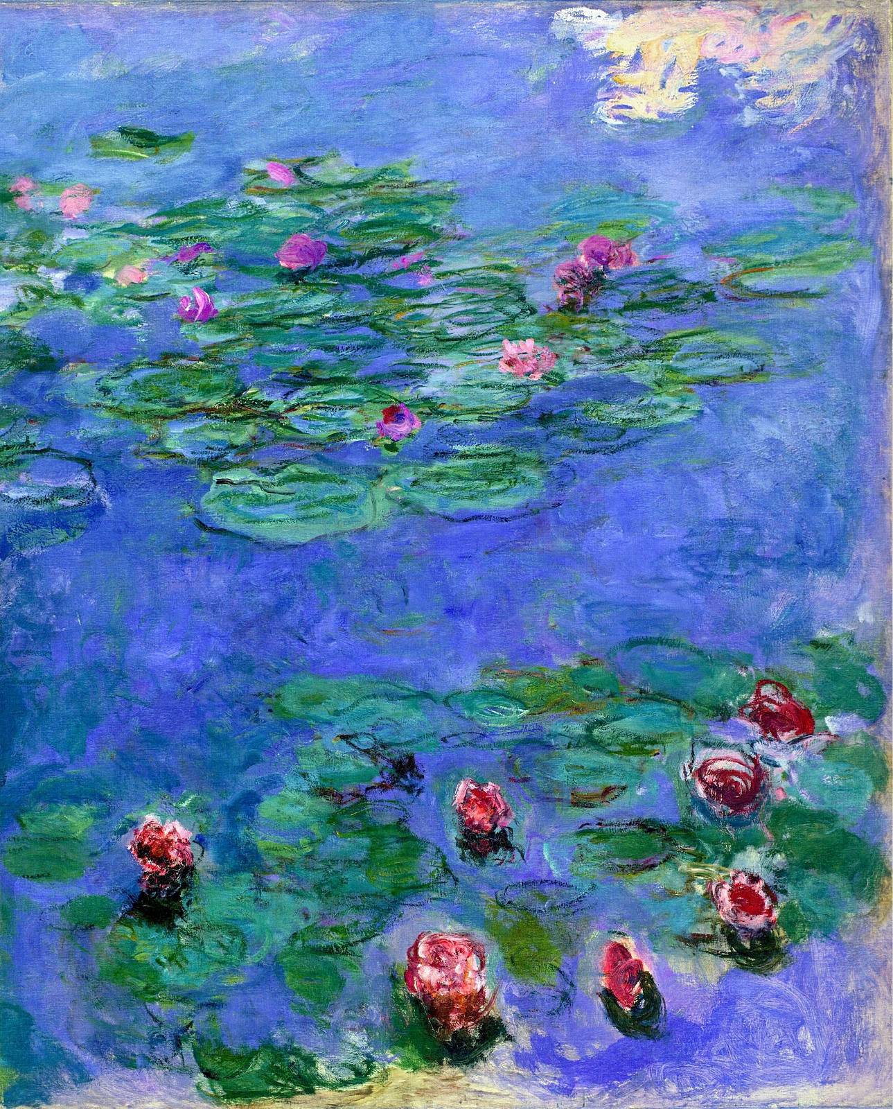 Water Lilies By Claude Monet Illustrations Sketches