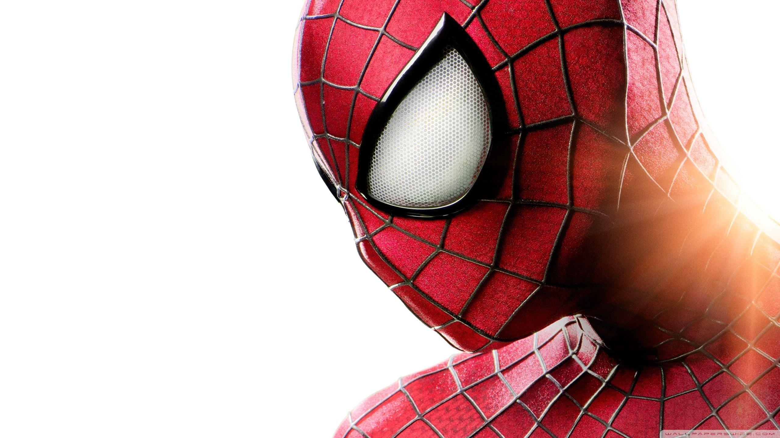 The Amazing Spider Man 2 HD Desktop Wallpaper, Widescreen, High