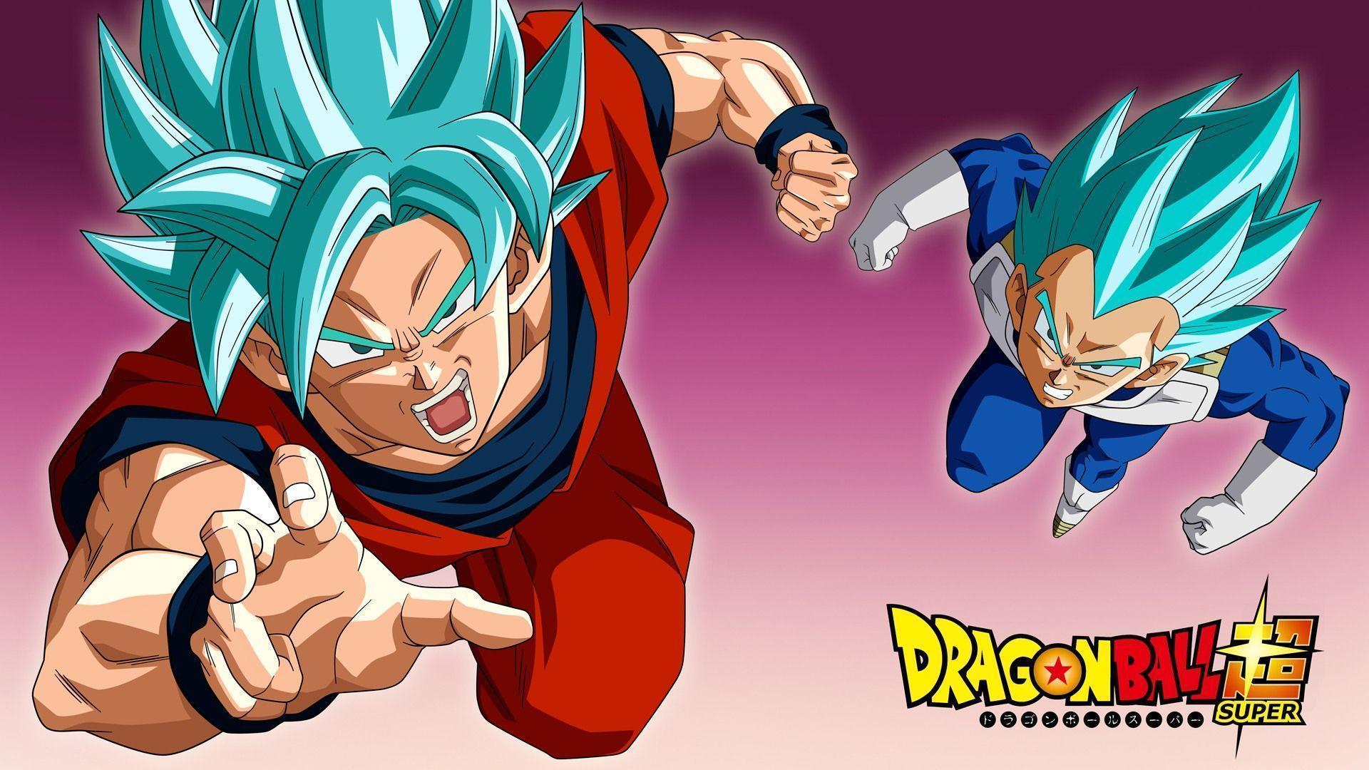 Super Saiyan Blue Goku and Vegeta DB. Wallpaper