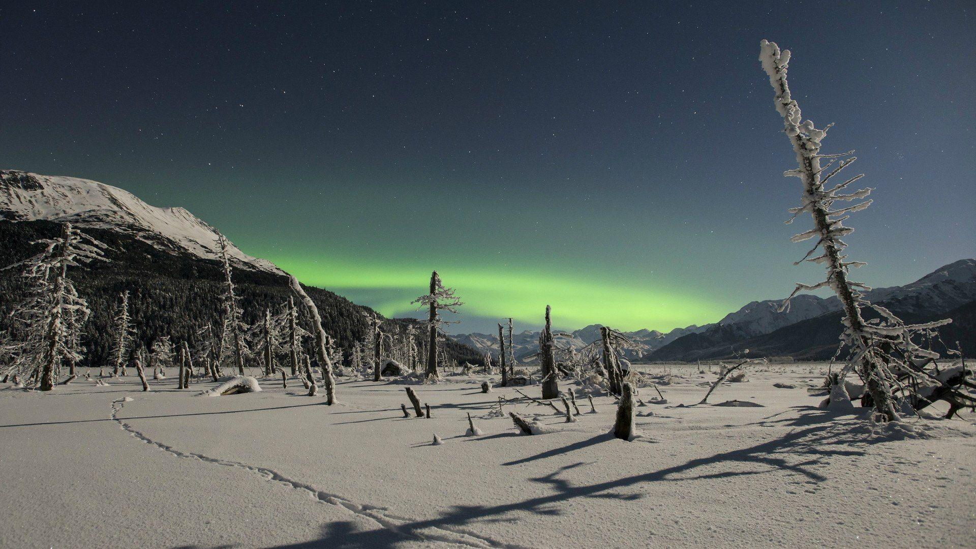 Northern lights over snowy wilderness wallpaper and image