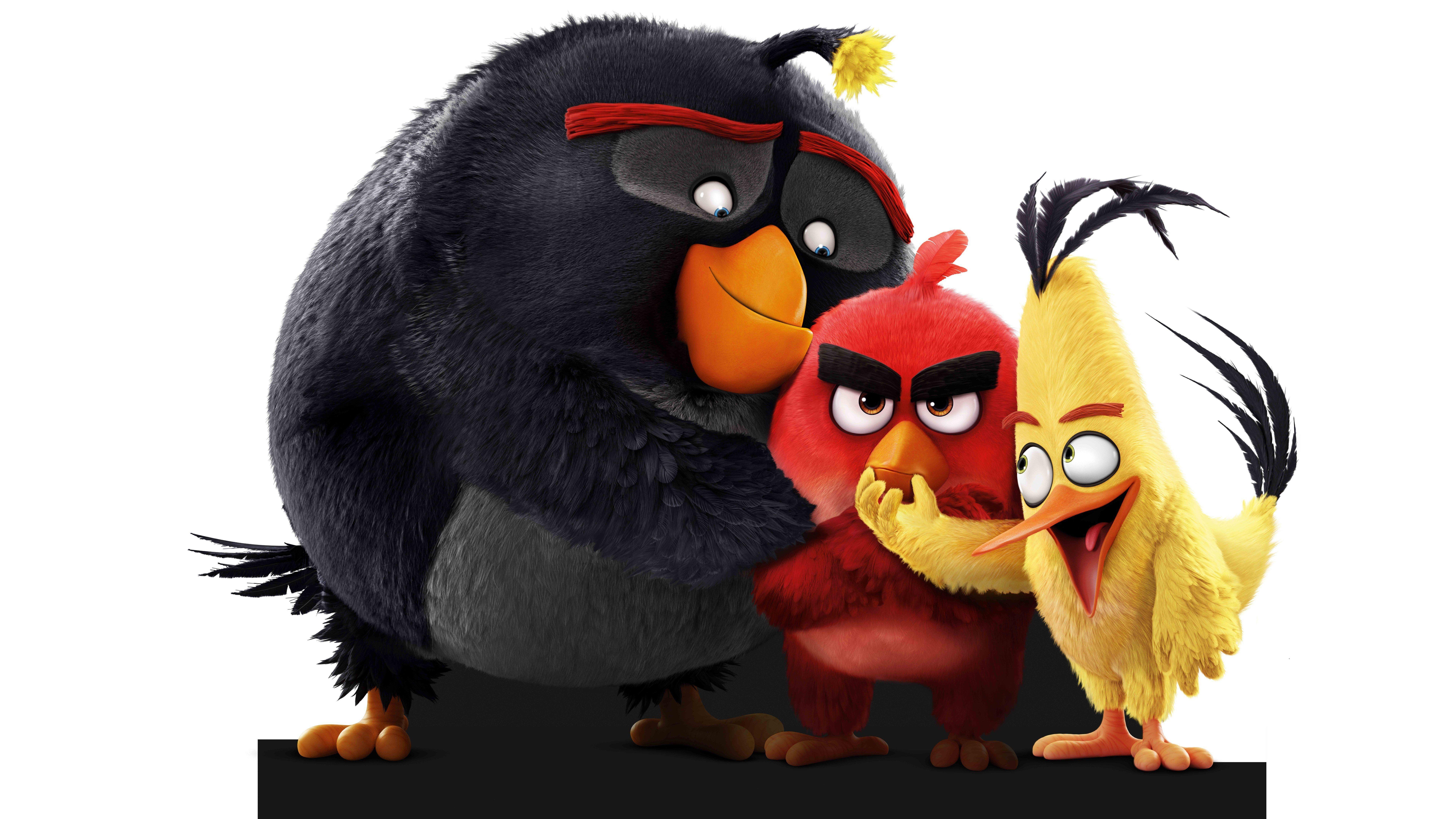 Download The Angry Birds 8k HD 4k Wallpaper In 2048x1152 Screen