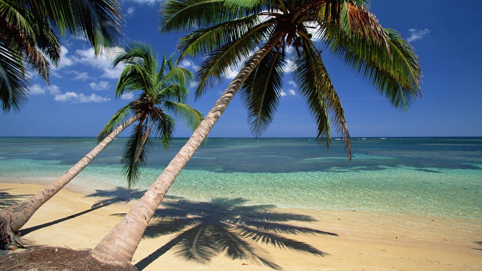 Vacation dominican republic